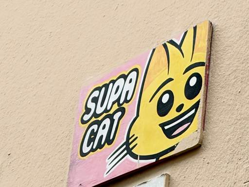 Feed item