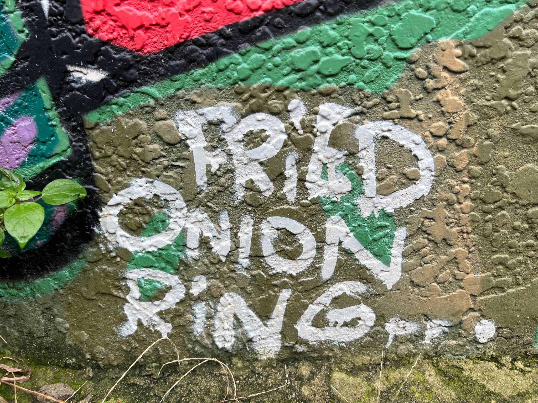 Unknown - Sydney&mdash;Fried Onion Ring