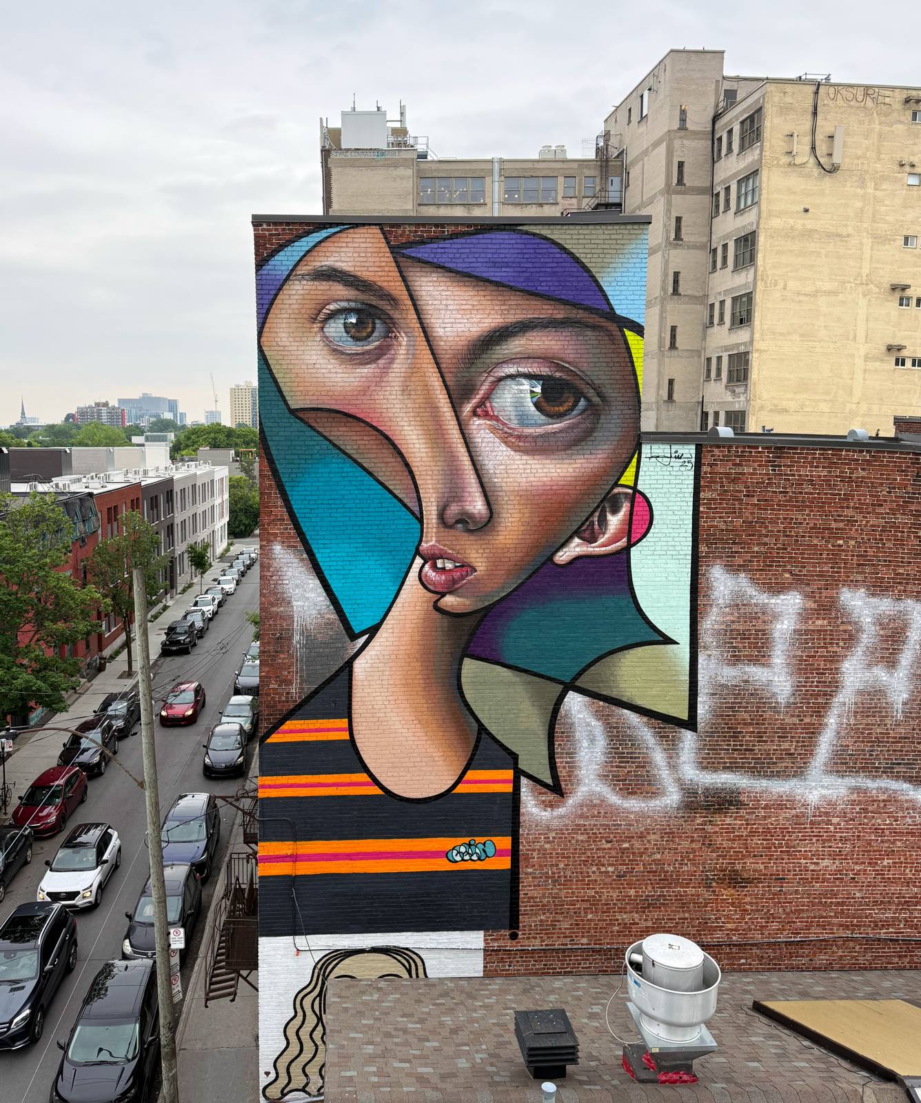 Belin—ELEVATED GAZE