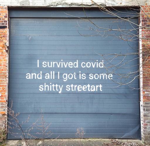 I survived covid and all I got is some shitty streetart