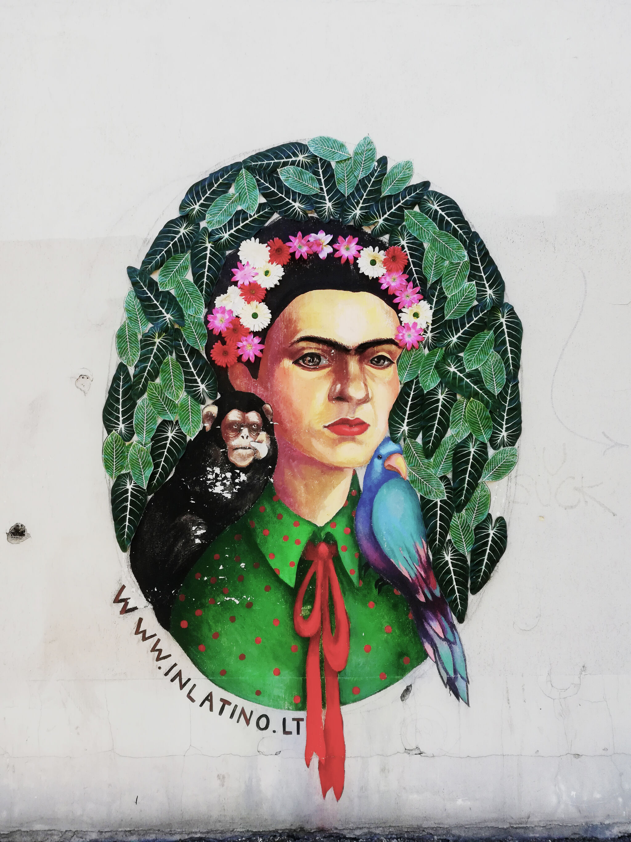 Paulė Bocullaitė&mdash;Frida Kahlo