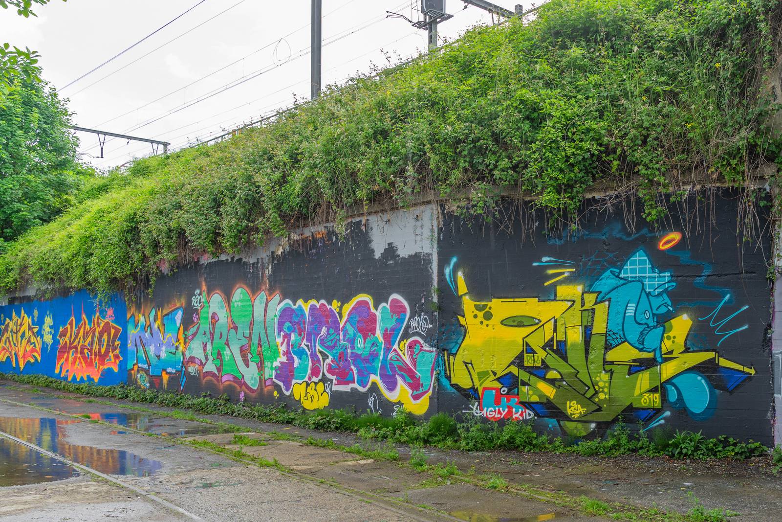 —Legal wall Marais Wiels