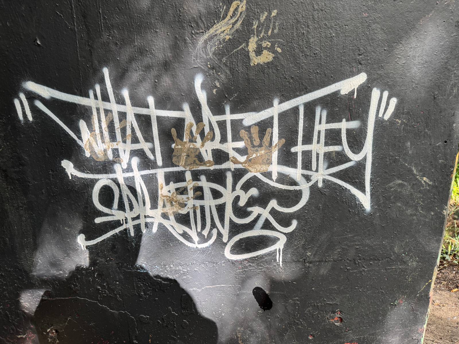 —Benhall Park (under the road bridge)