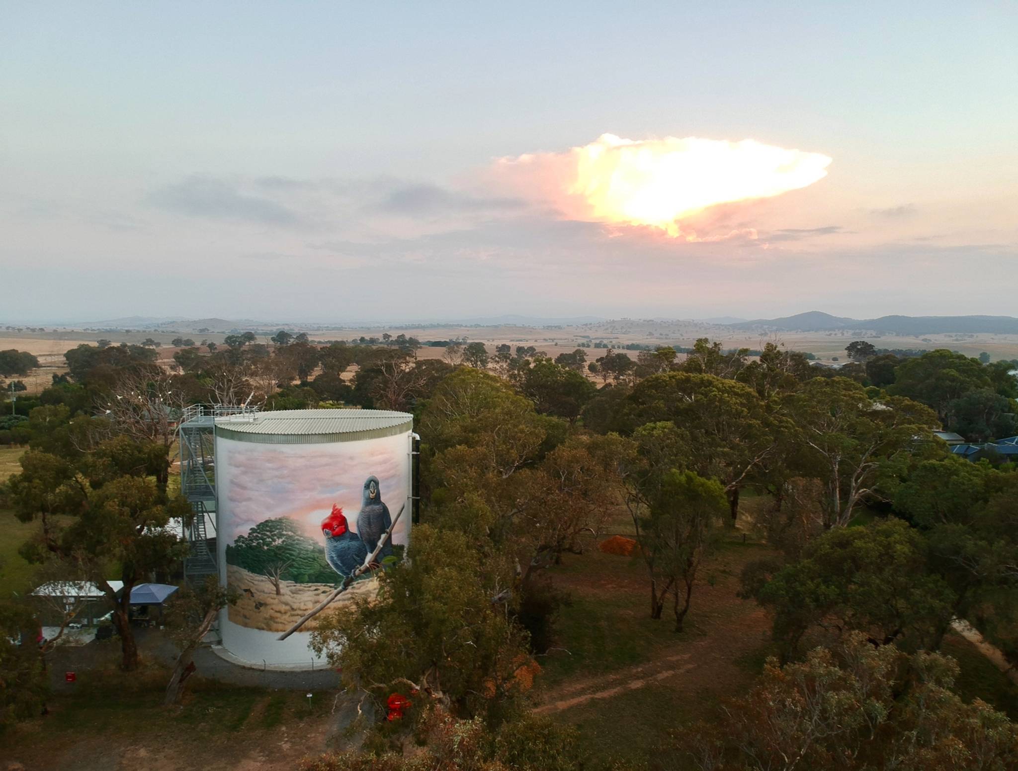 Jimmi Buscombe&mdash;Murrumbateman Water Tank