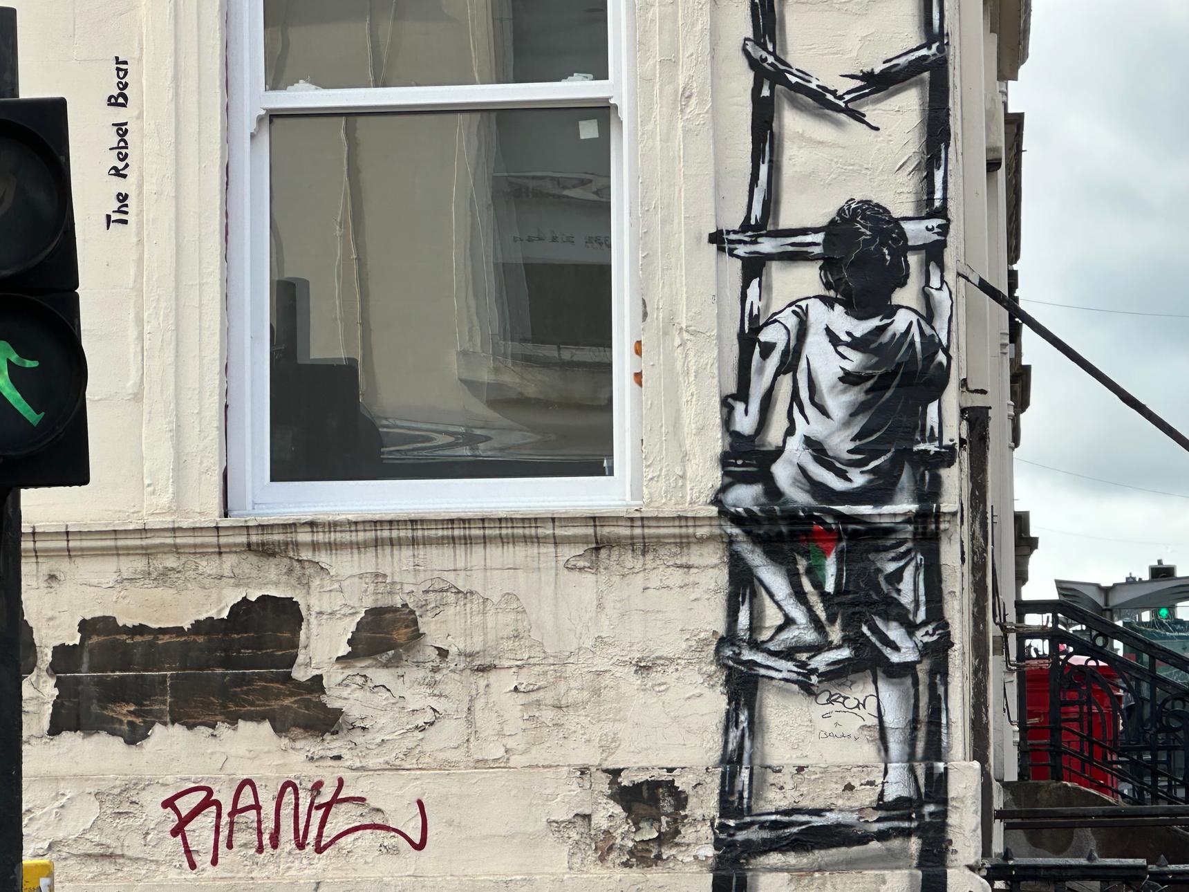 The Rebel Bear—Hope