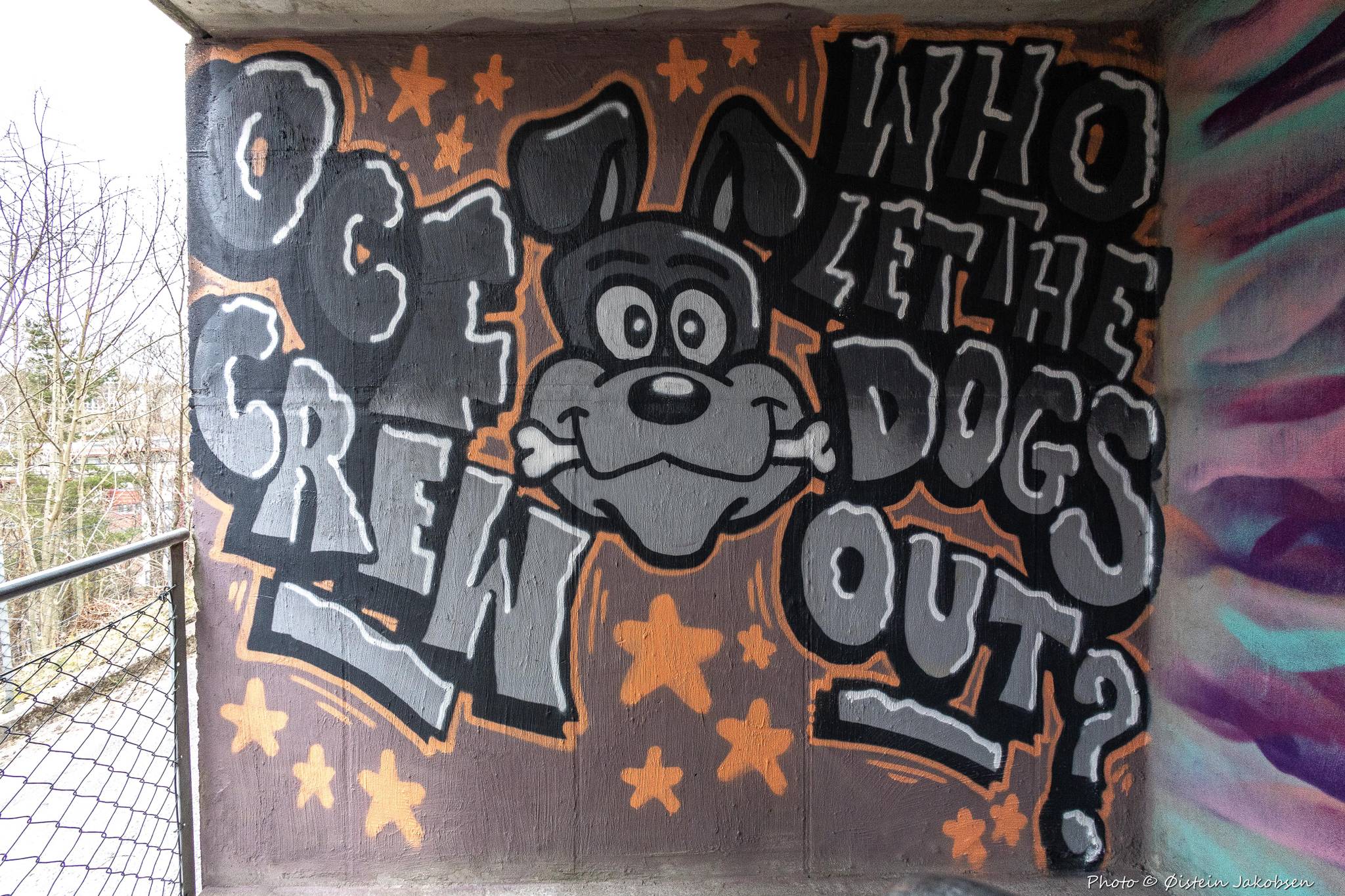 OCF&mdash;Who Let the Dogs Out