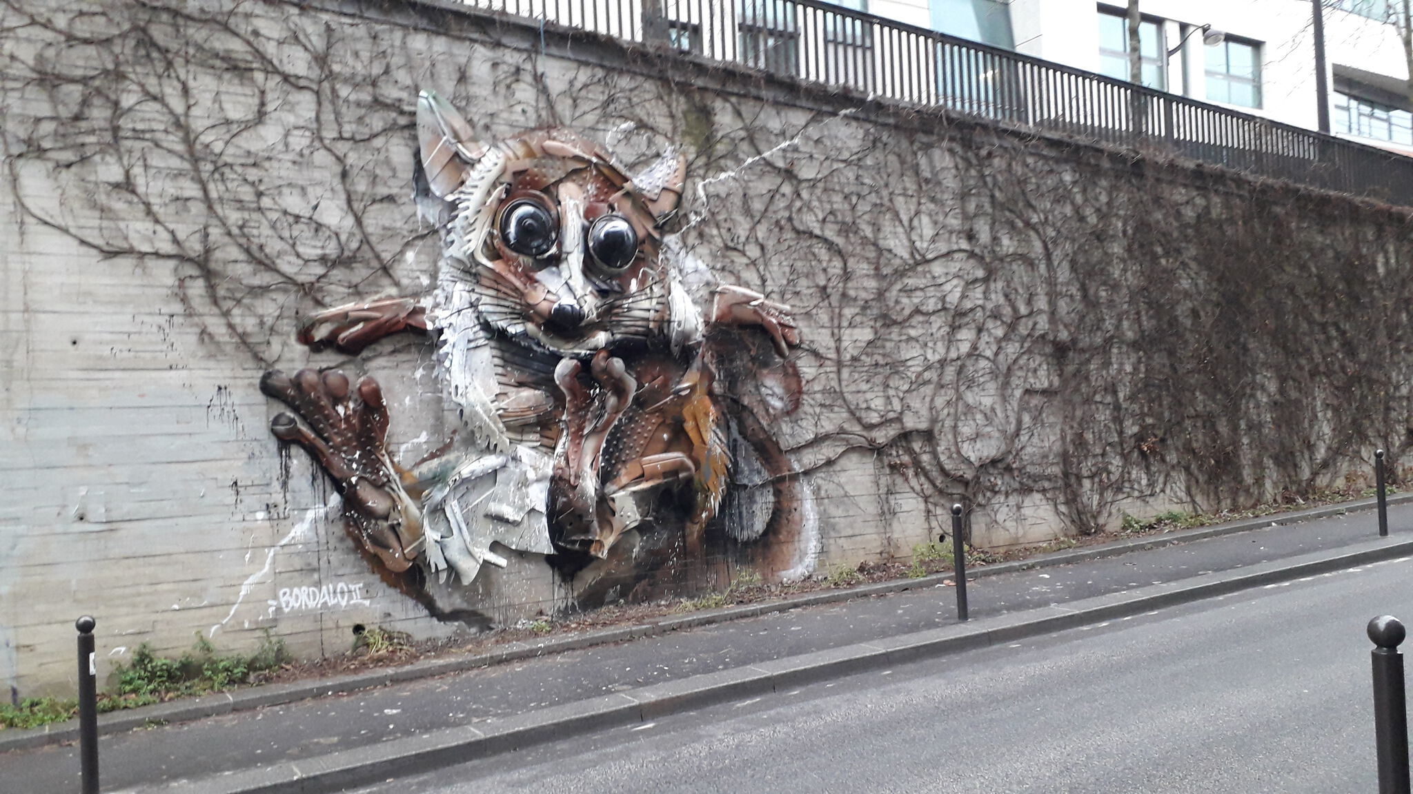 Bordalo ll&mdash;Mouse Lemur