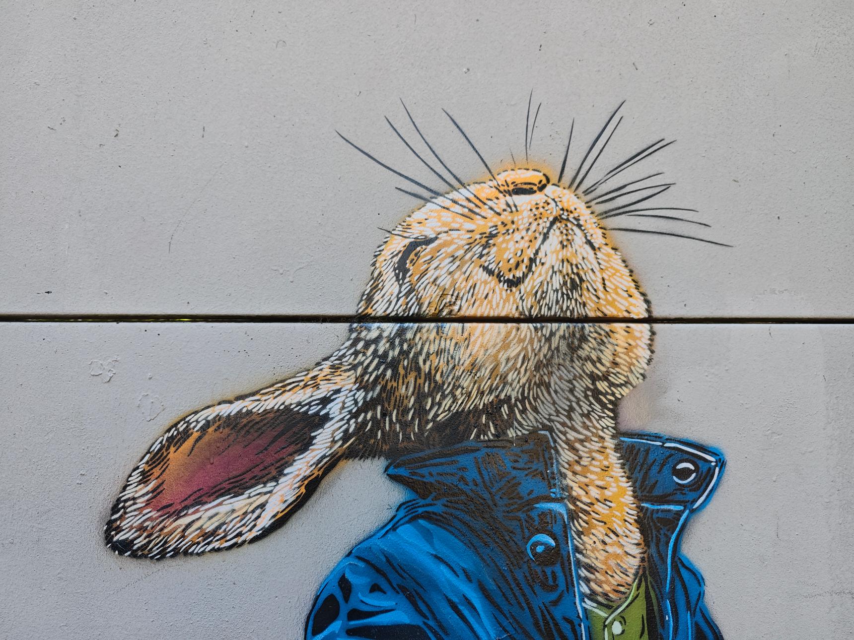 Adey—Rabbit