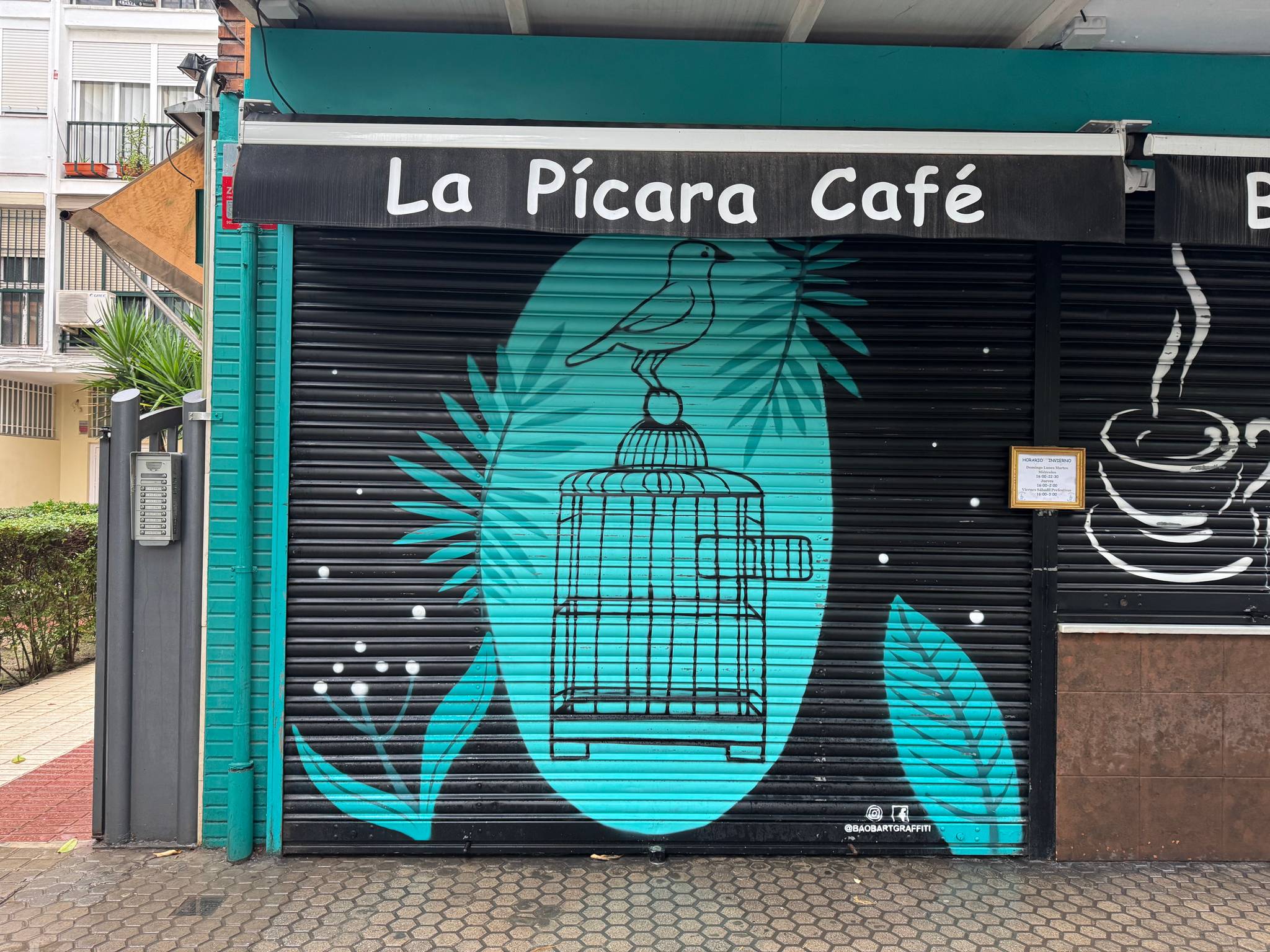 Baobartgraffiti&mdash;La pícara