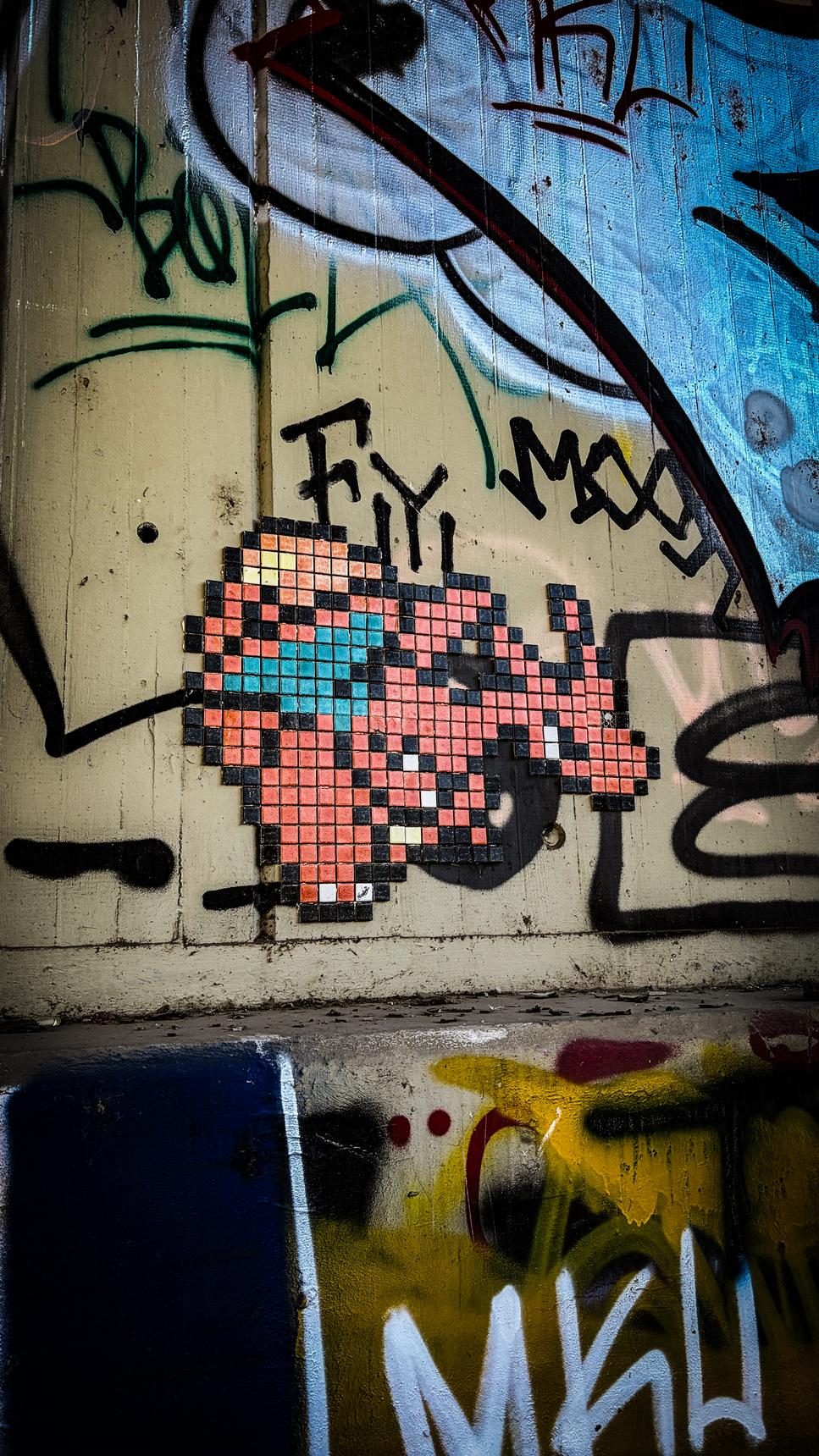 Unknown - Ludwigshafen—Charizard
