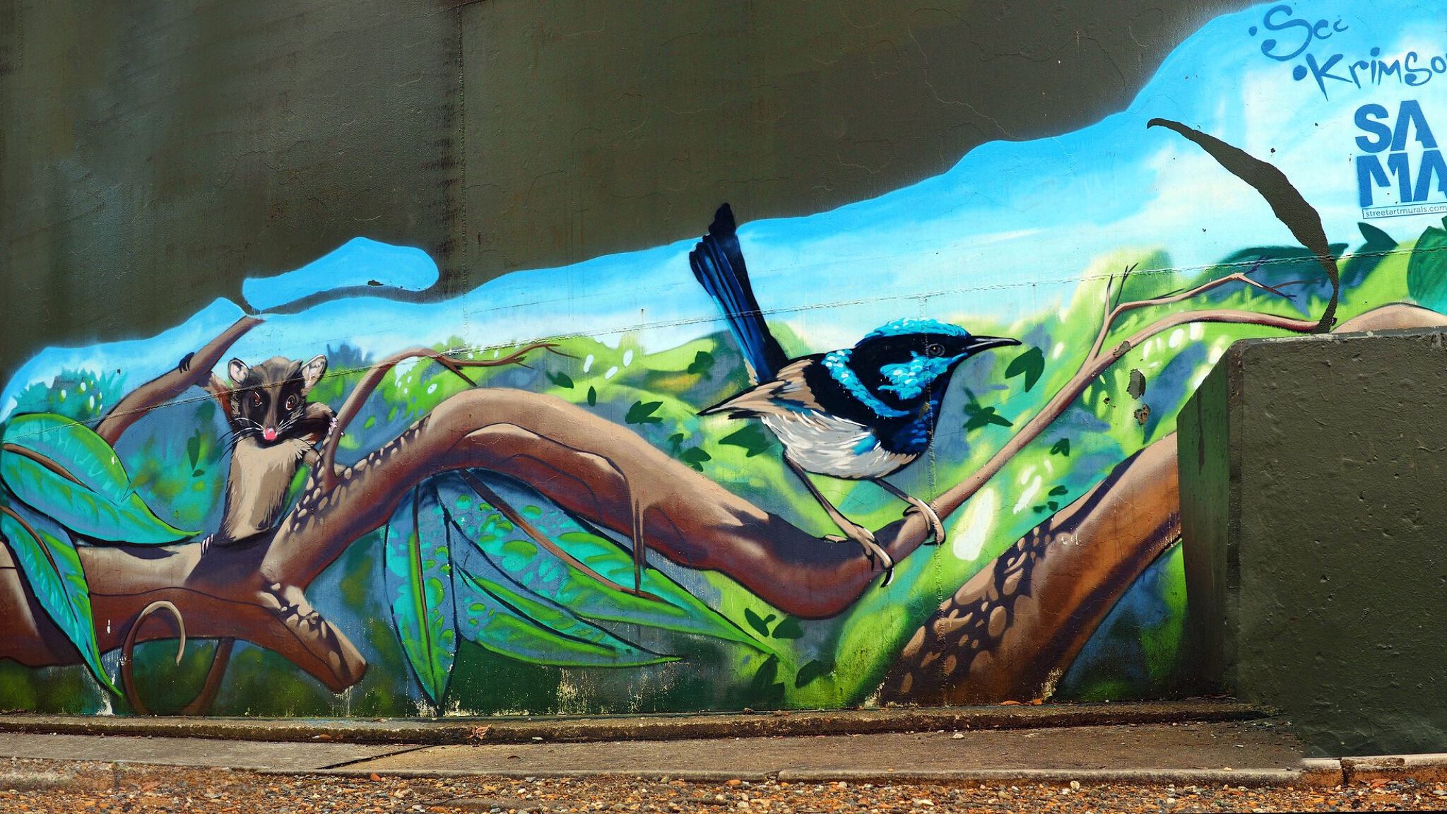 Australian Silo Art Trail, Scott Nagy, Krimsone&mdash;Mount Riverview Water Tank Art