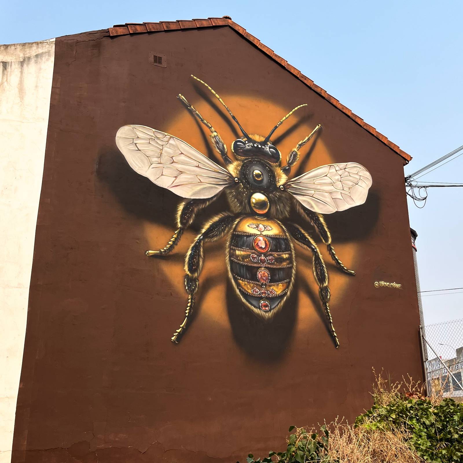 Häcko Crâne—Queen Bee