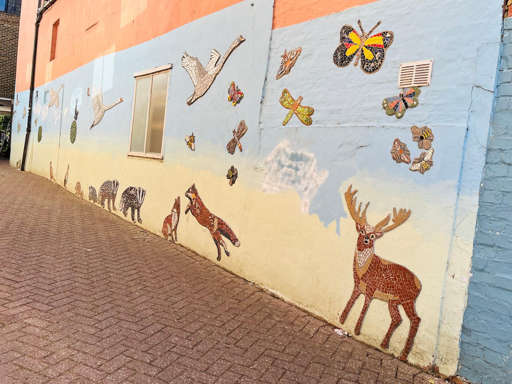 Save The World Club—Wildlife of Kingston