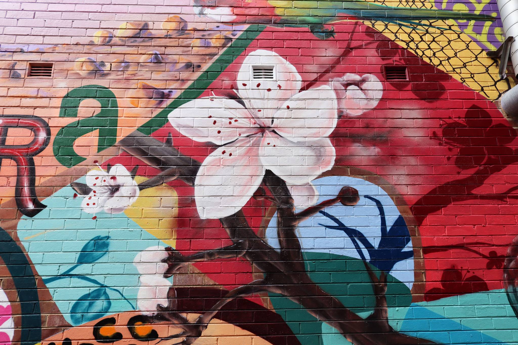 The Brightsiders, The Zookeeper, Drapl&mdash;Cowra Laneway Mural