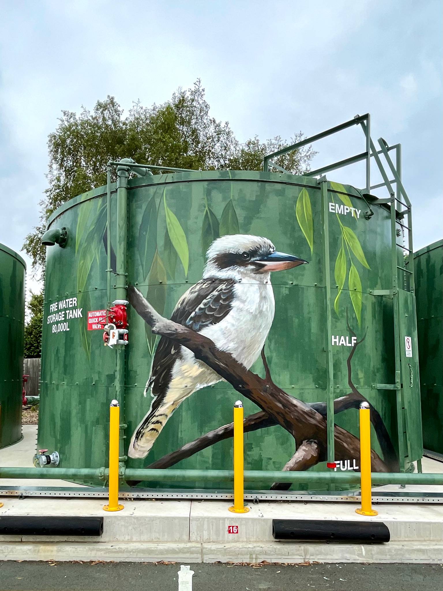 Melbourne's Murals&mdash;Jubilee Park Kookaburra 