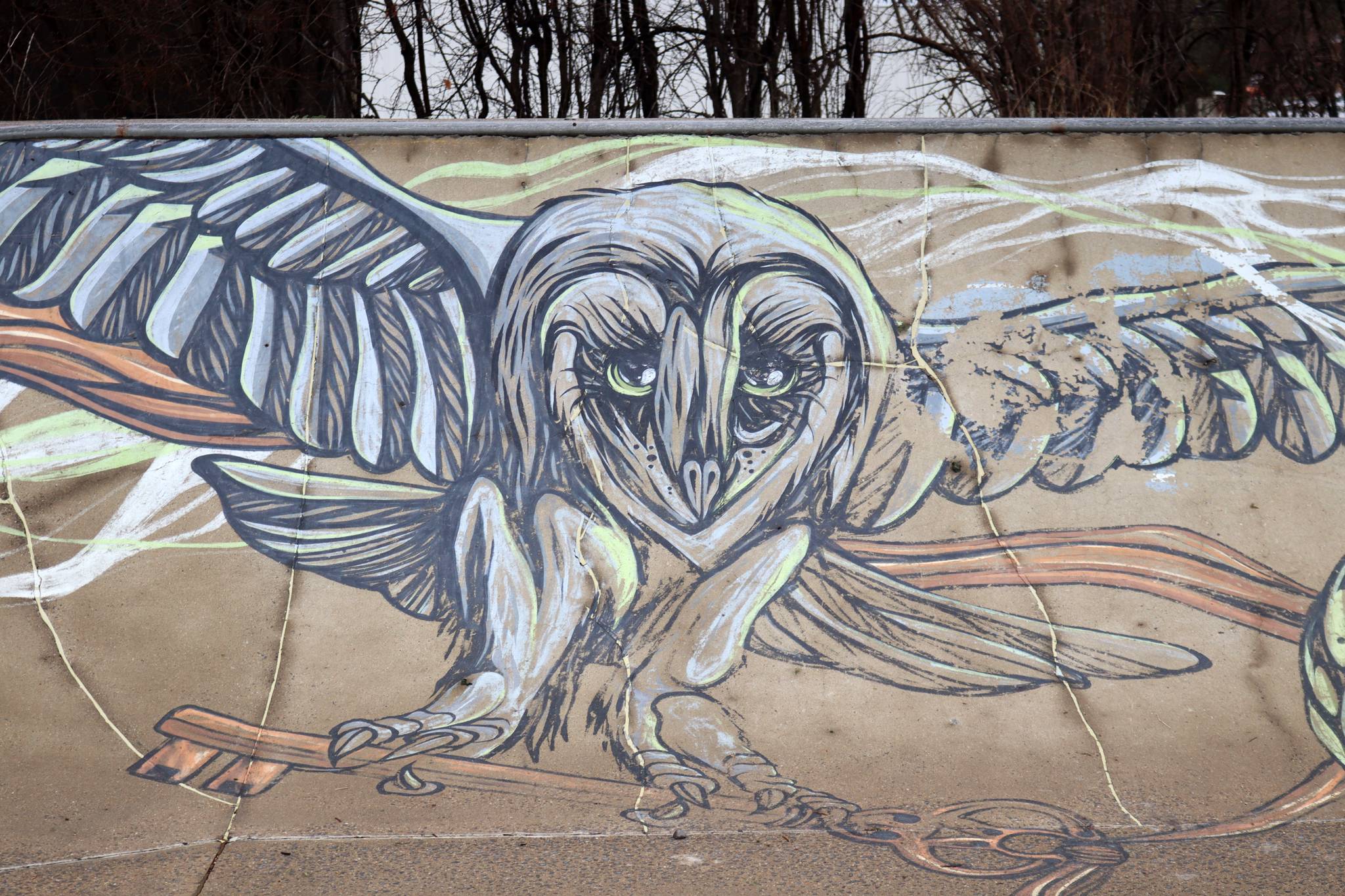 Mike Shankster&mdash;Berridale Skatepark