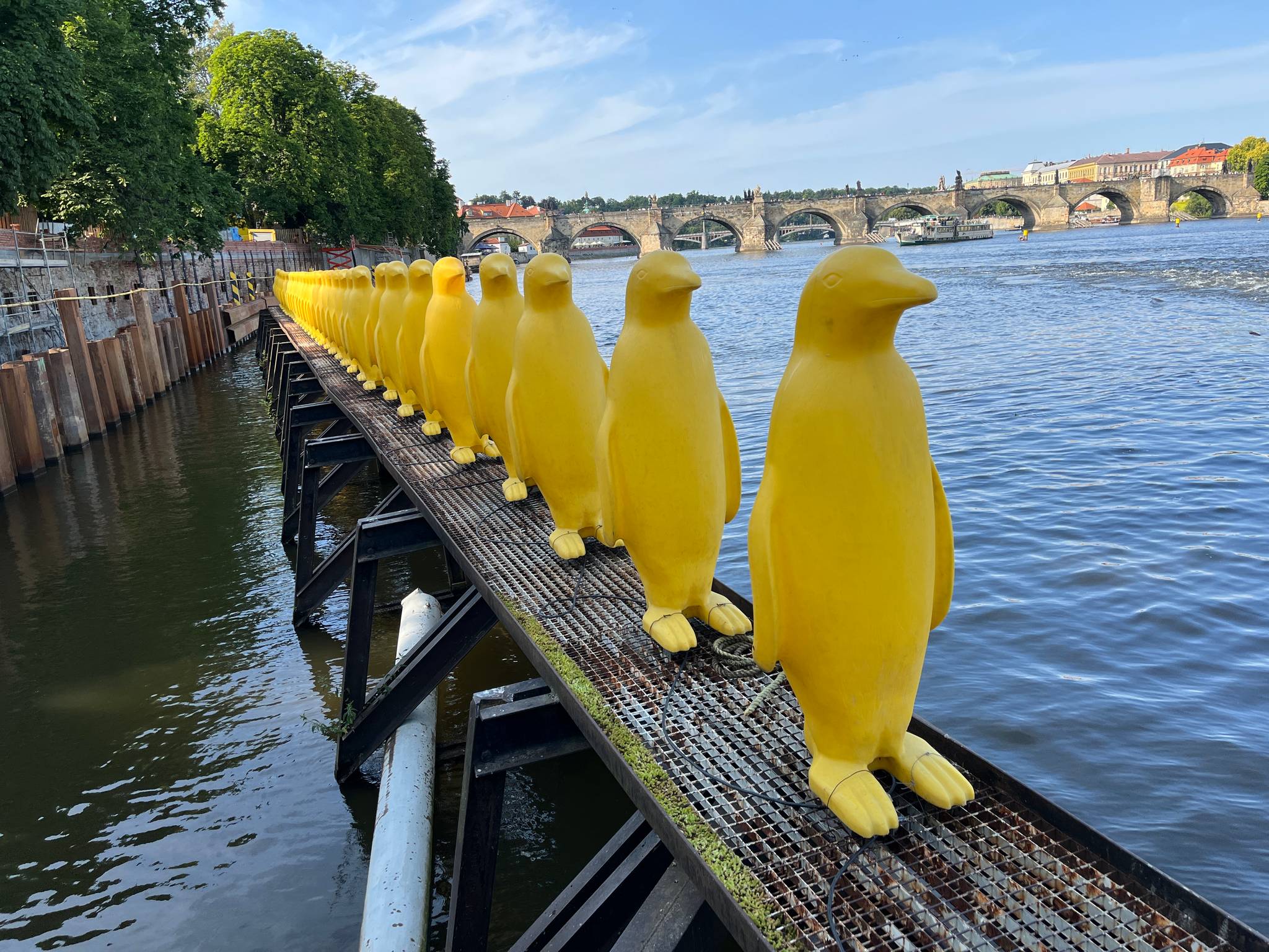 Cracking Art&mdash;34 Yellow Penguins