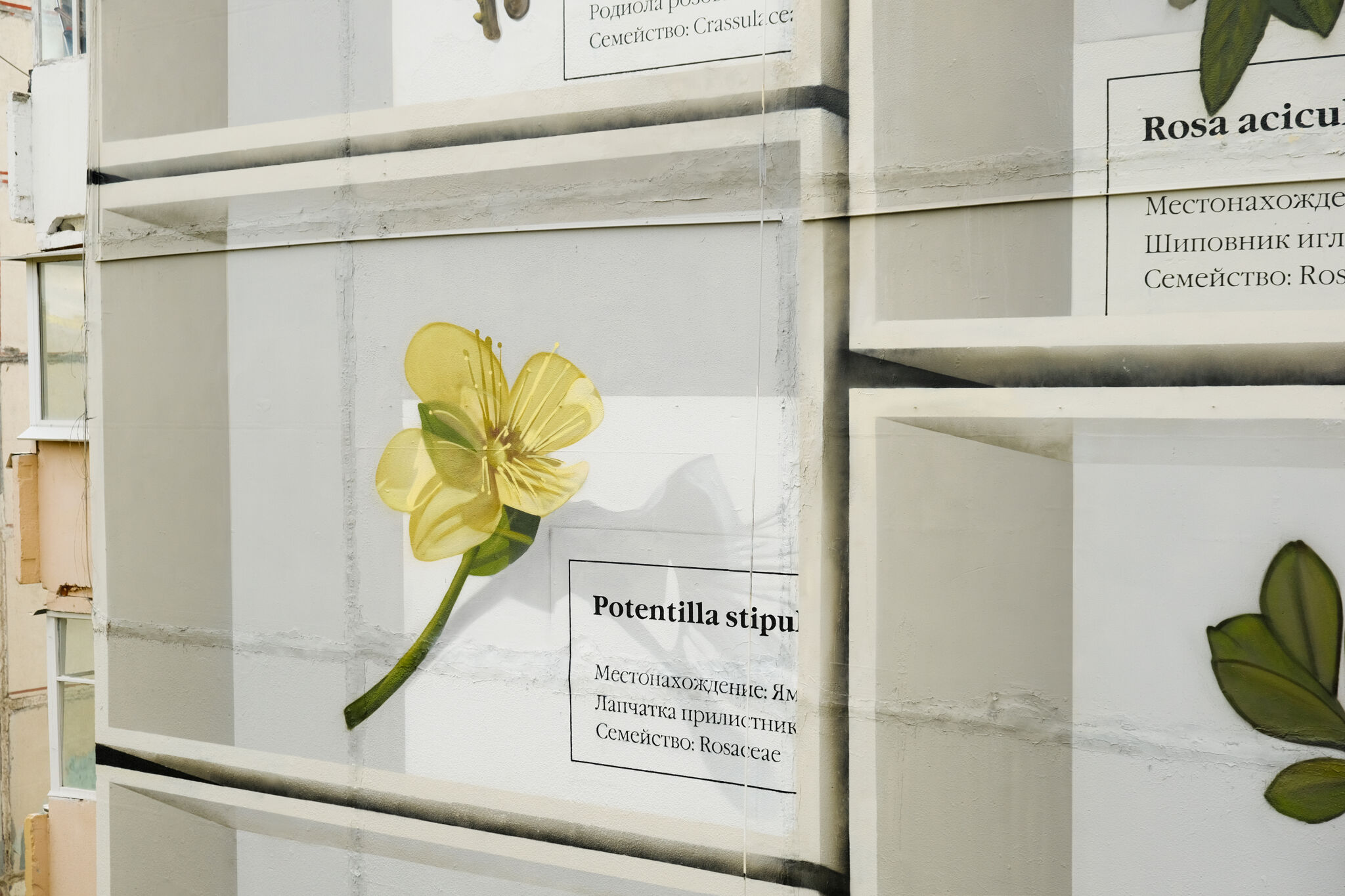 SPEKTR&mdash;Herbarium