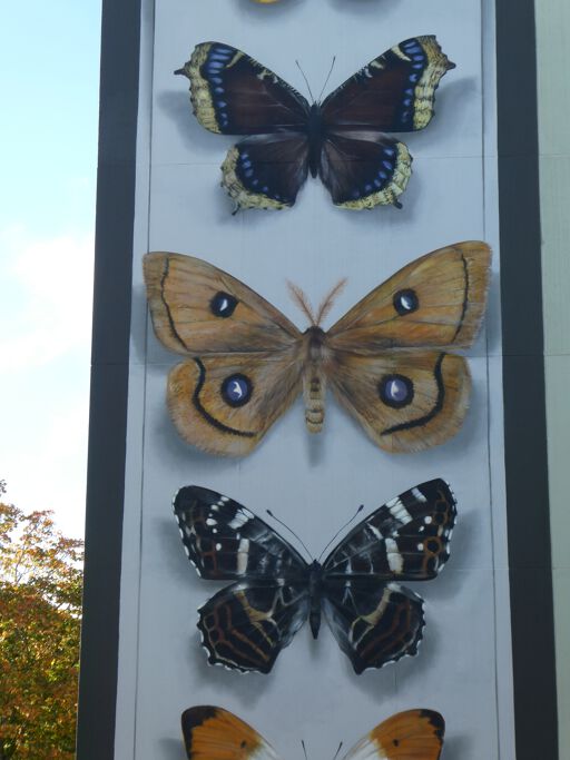 Hyvinkään perhosia (Hyvinkää butterflies)