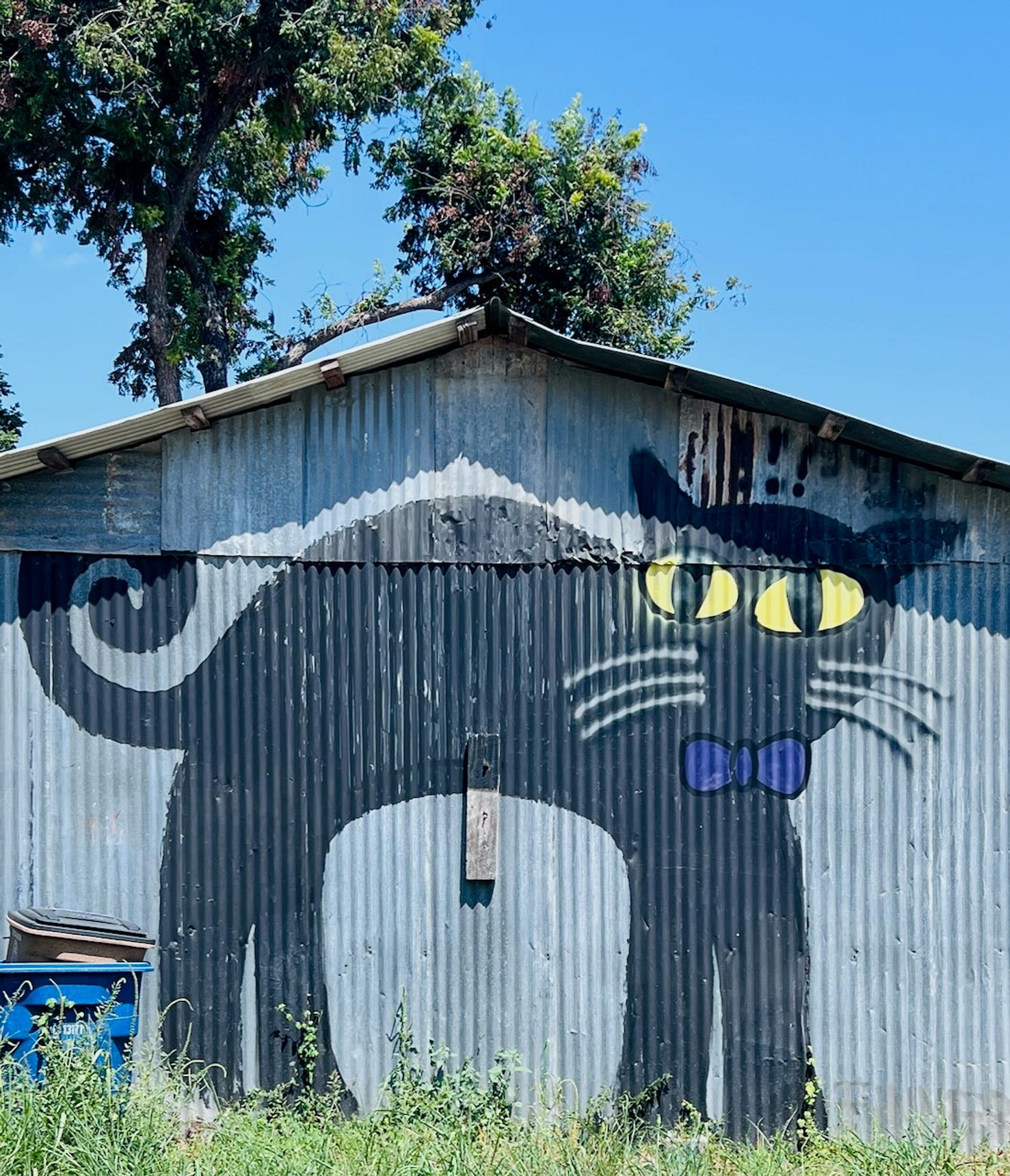 Unknown - Austin—undefined
