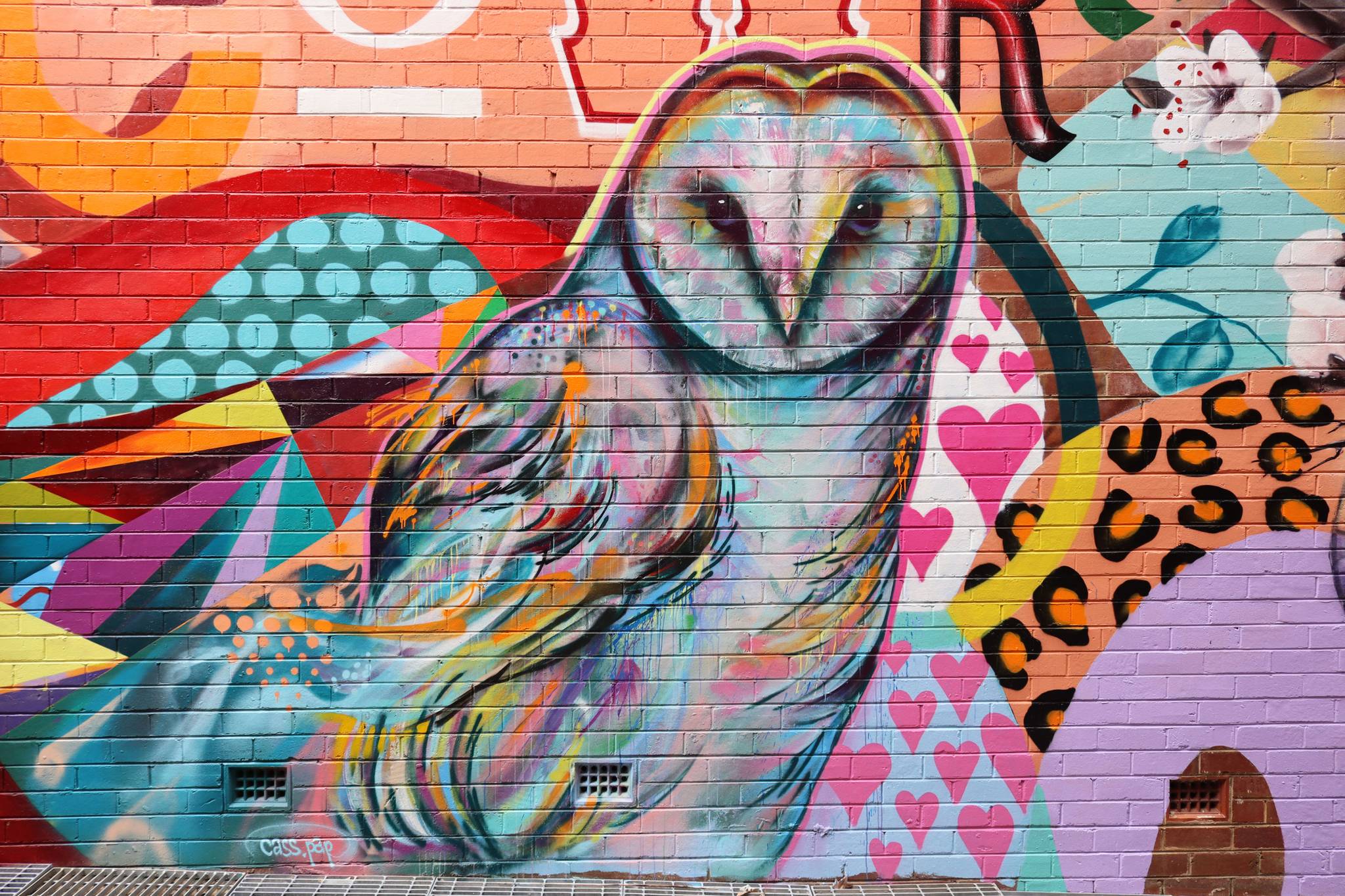 The Brightsiders, The Zookeeper, Drapl&mdash;Cowra Laneway Mural