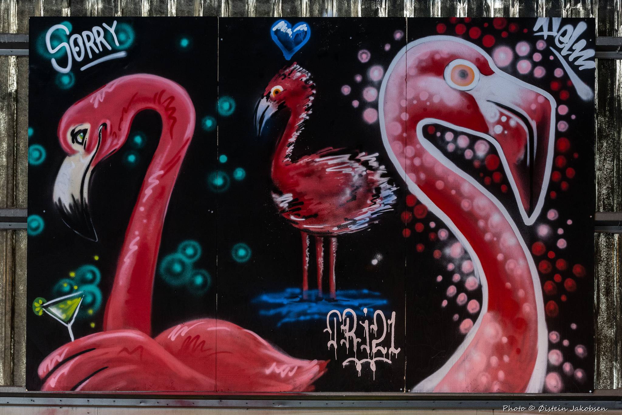 SORRY, TRI, Helm&mdash;Flamingos in love