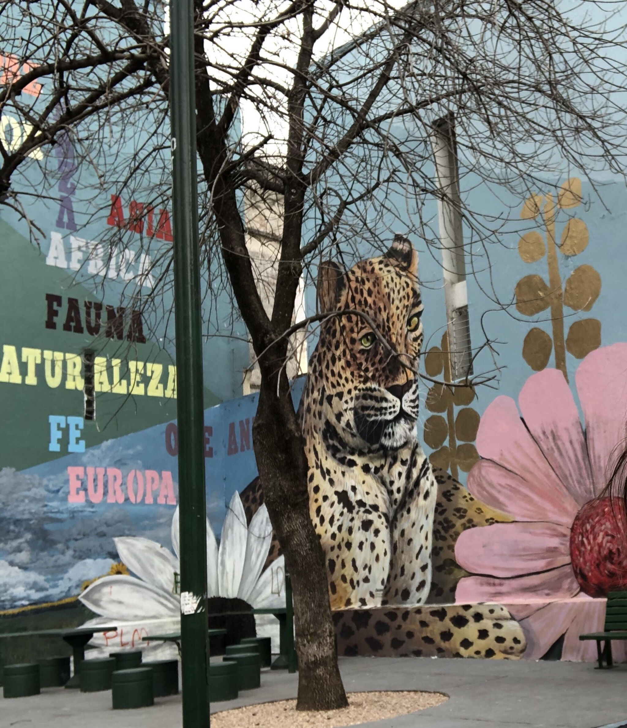 Pinta Argentina&mdash;Mural de los sueños