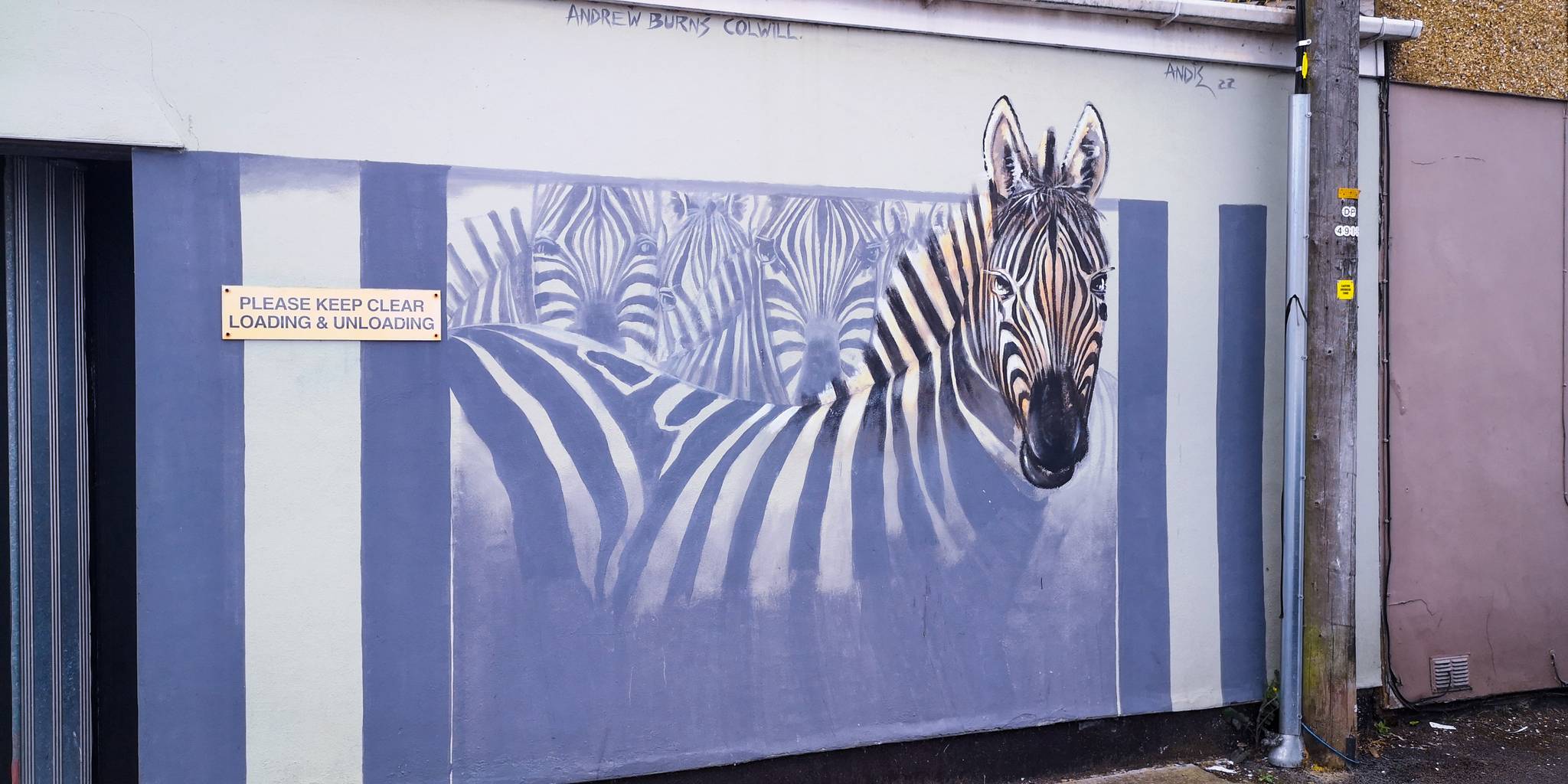 Andrew Burns Colwill&mdash;Zebras