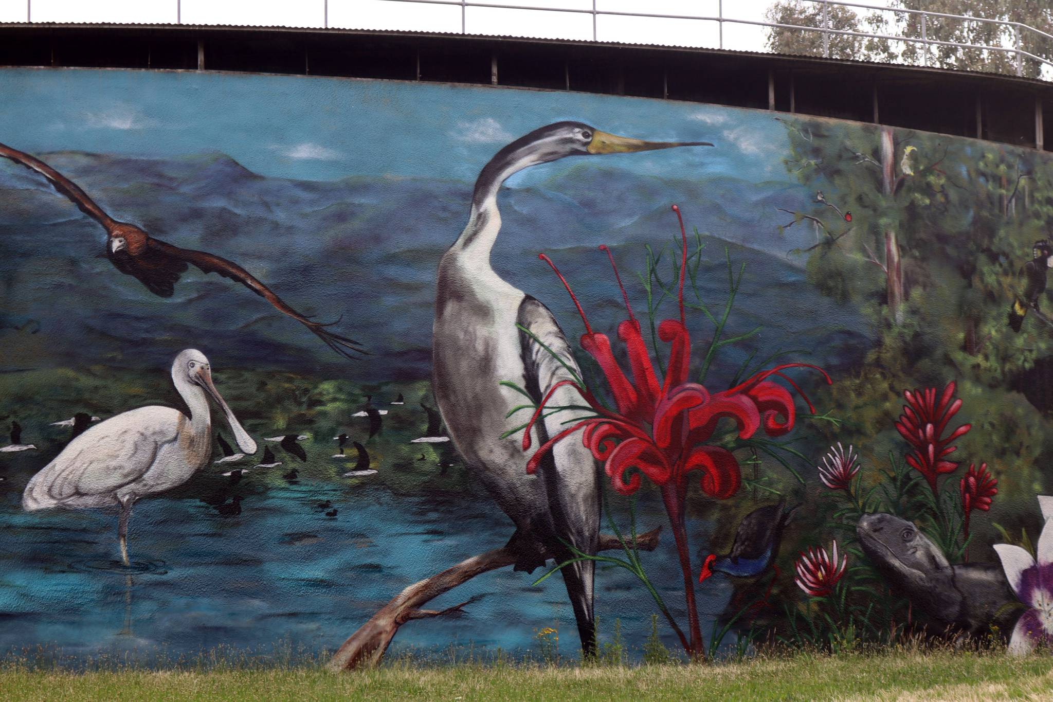 GraffikPaint, Pete Filmer&mdash;Narrabundah Reservoir