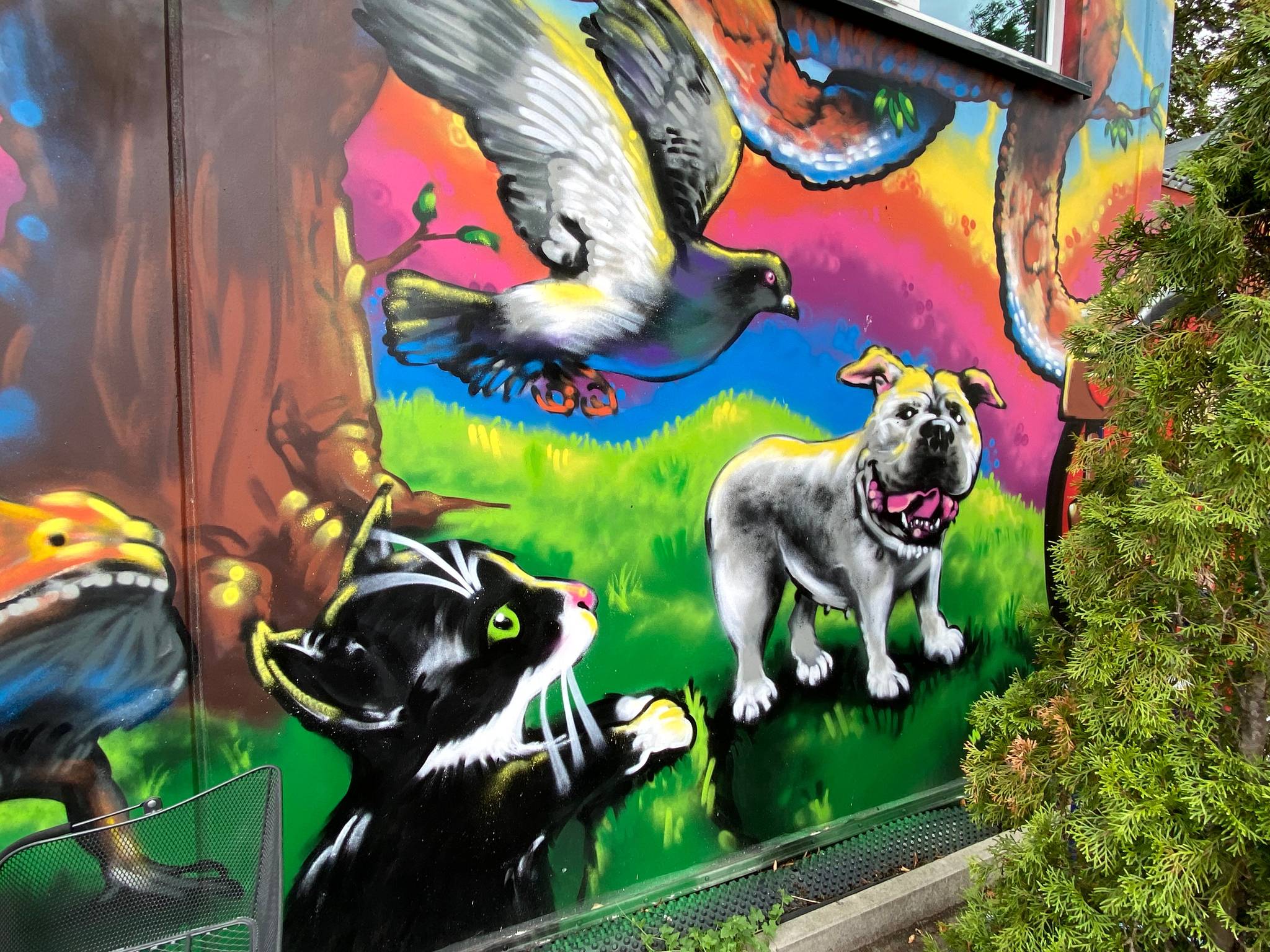 Unknown - Cologne&mdash;animal shelter