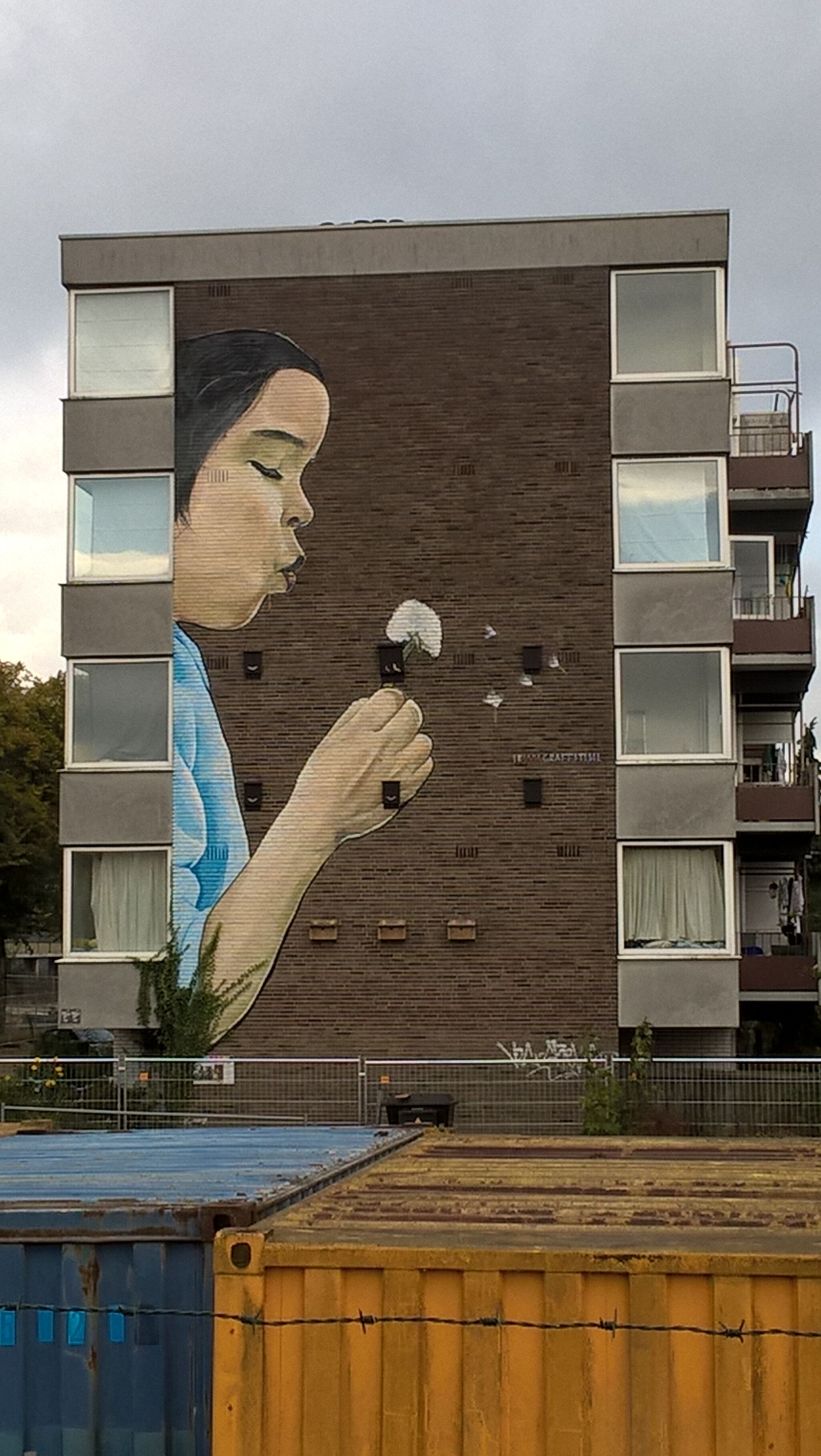 Unknown - Utrecht&mdash;Dandelion