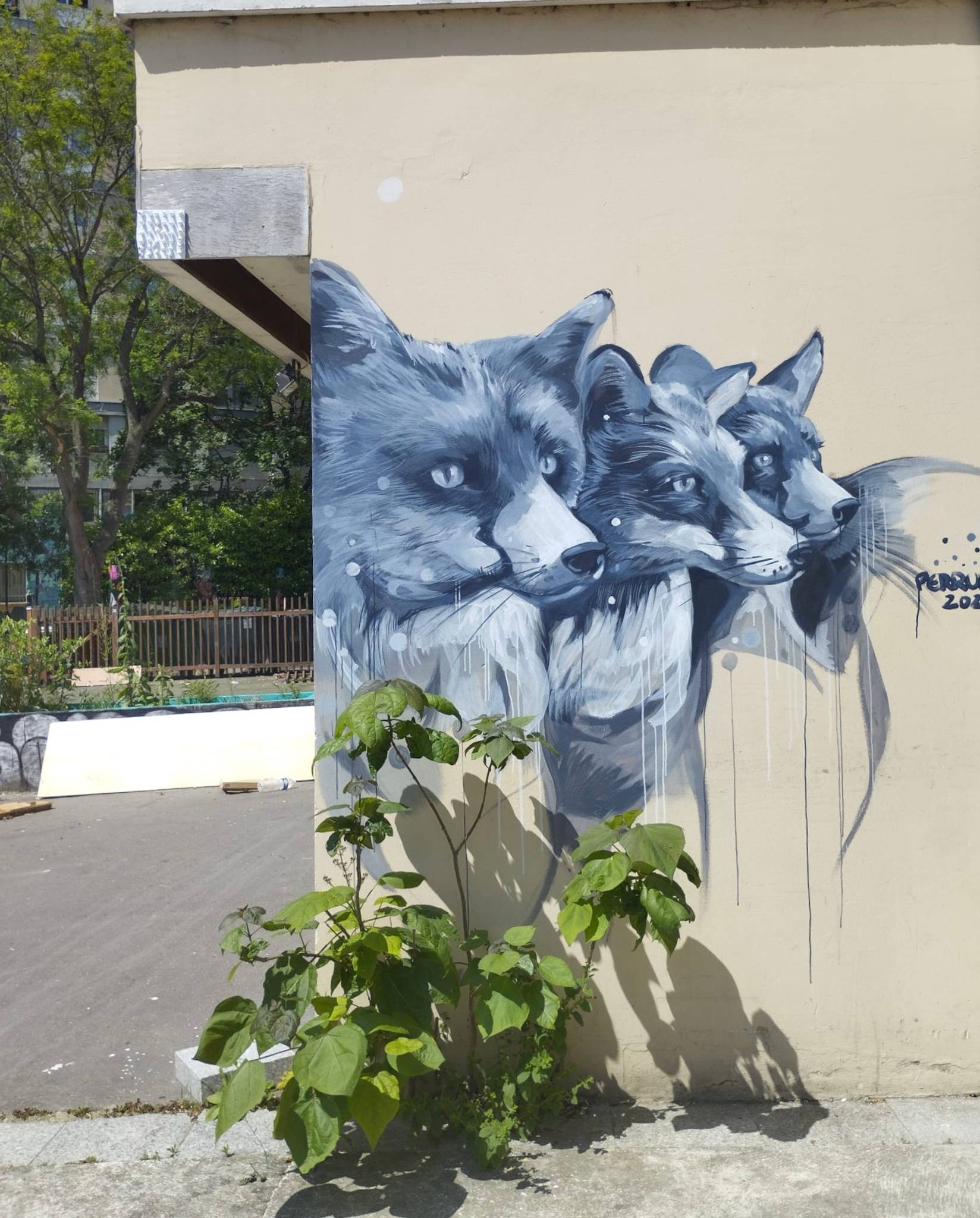 Nicolas Perruche&mdash;Blue foxes