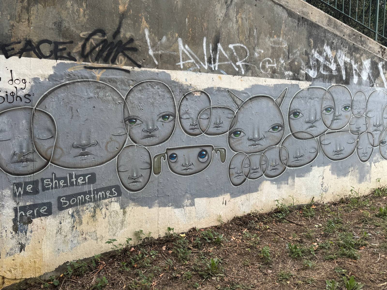 My Dog Sighs—We Shelter Here Sometimes