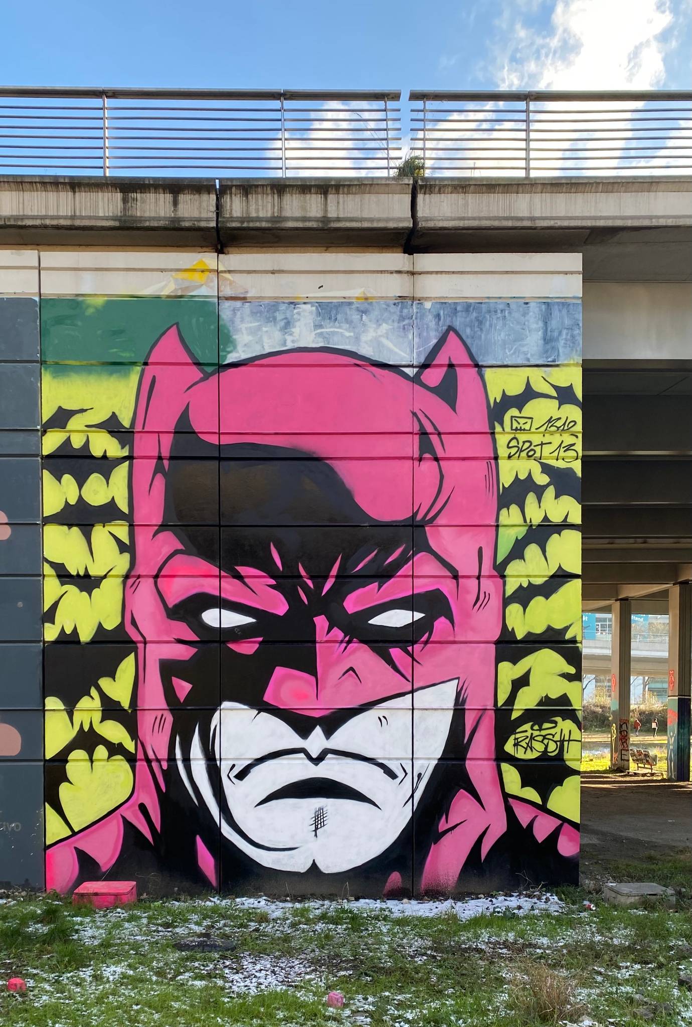 Trassh&mdash;Pink Batman