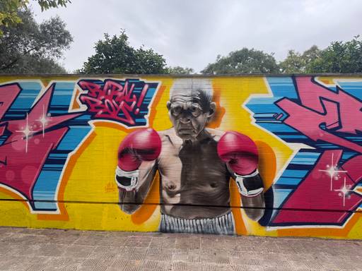 El boxeador