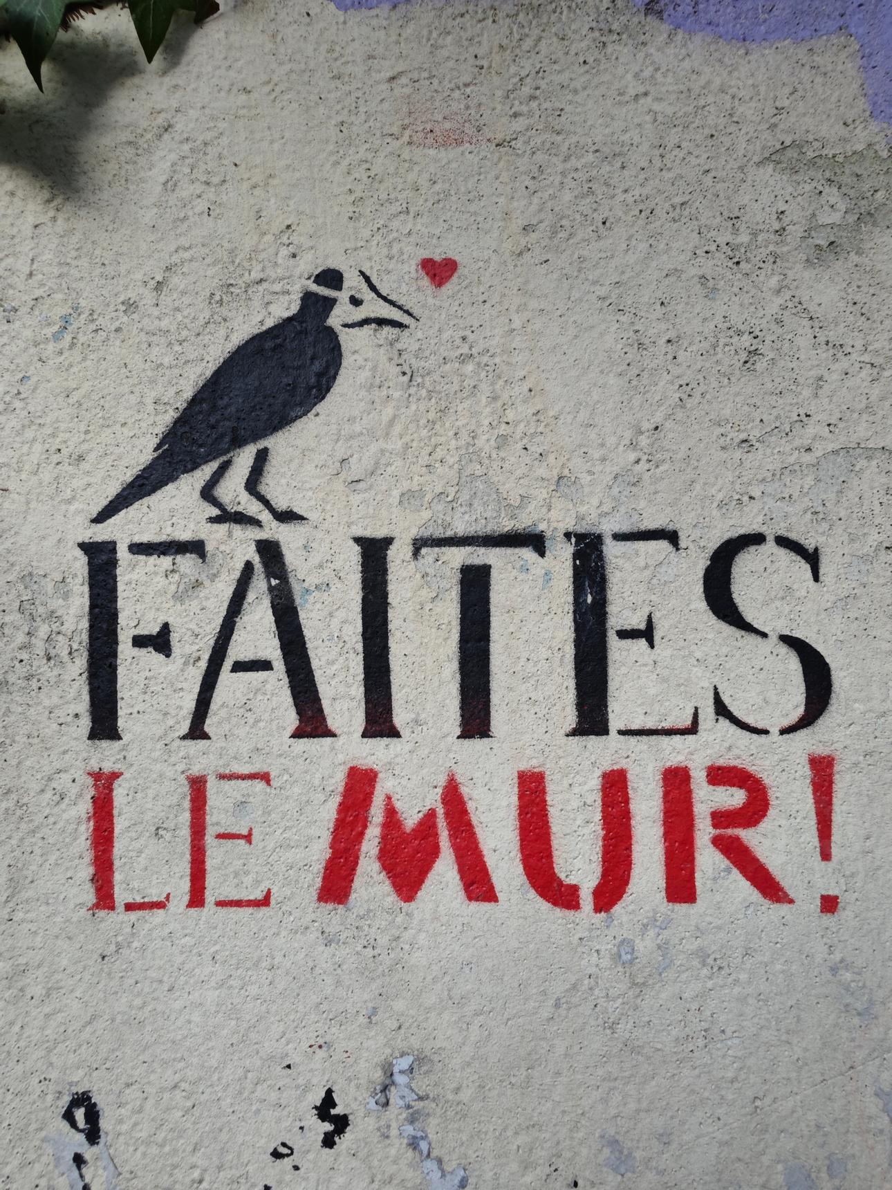 MS Béja—Faites Le Mur !
