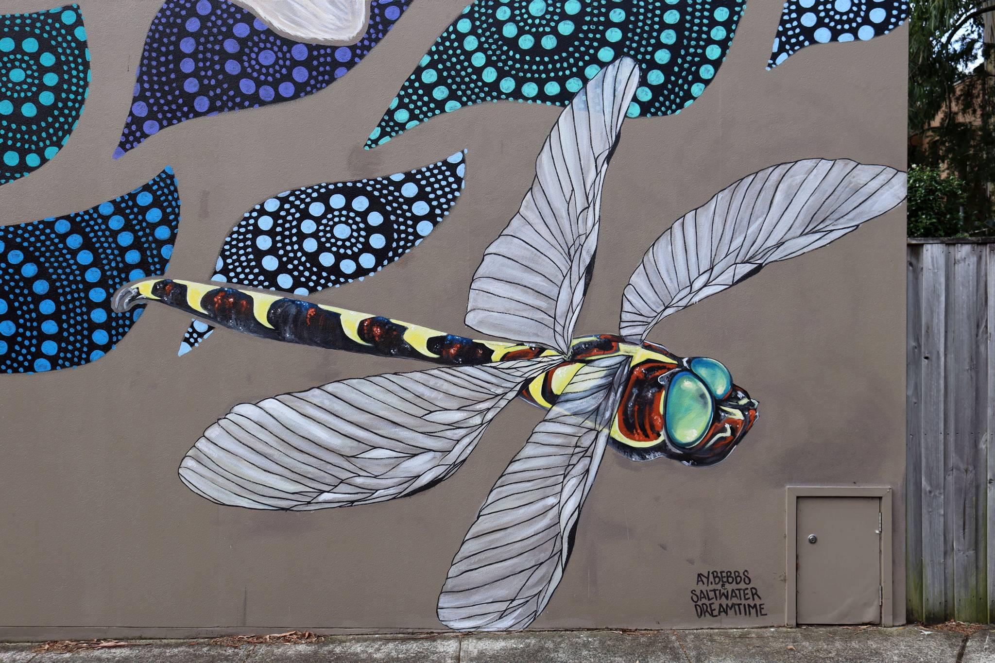 Alex Bebbington, Saltwater Dreamtime&mdash;Fishers Reserve Waterhole