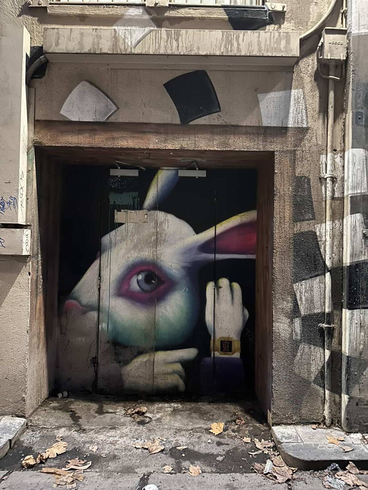 White Rabbit by Silly Sully - Street Art Cities