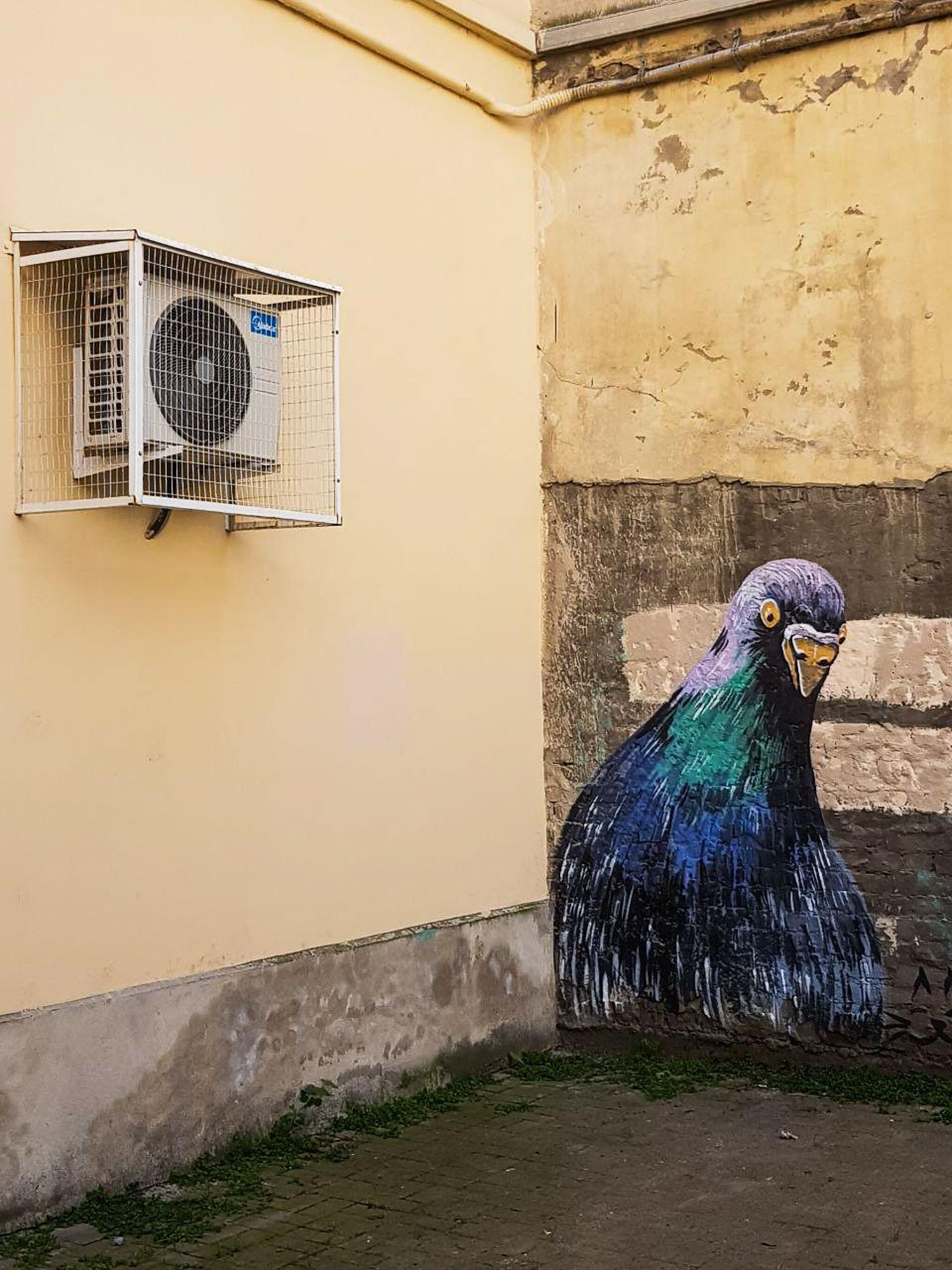 Anna Bronza&mdash;Saint Petersburg`s Pigeon