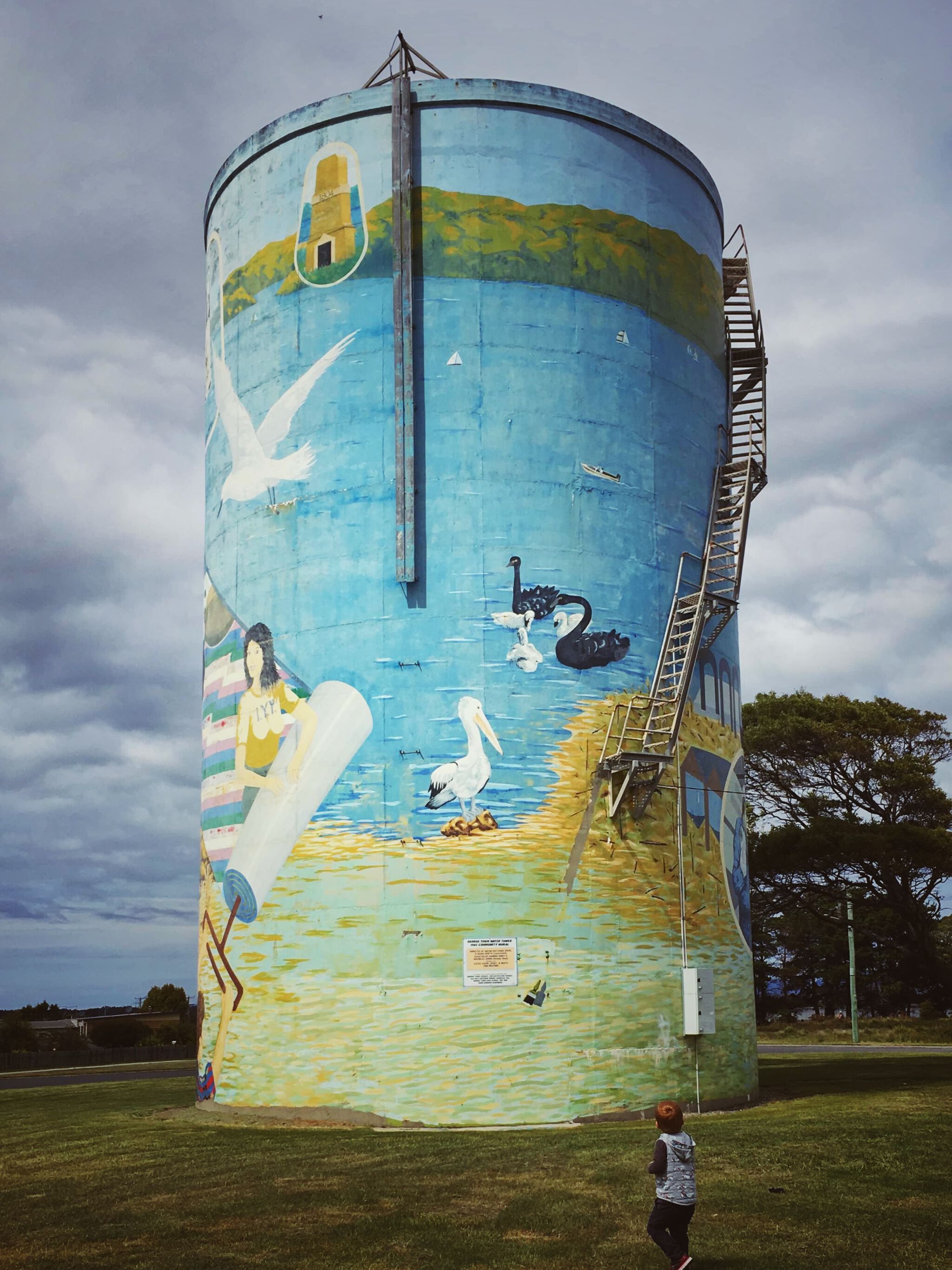 Wayne Hutchins, Diana North, Australian Silo Art Trail&mdash;George Town Water Tower