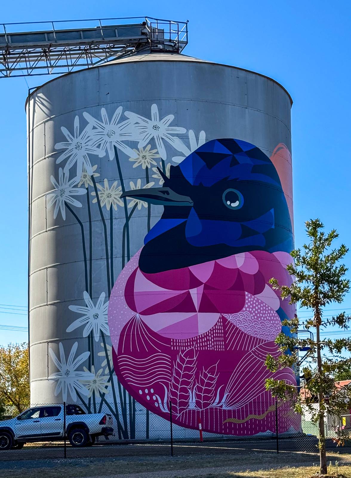 Ronan Holdsworth—Rutherglen Silos - Birds of Seasons