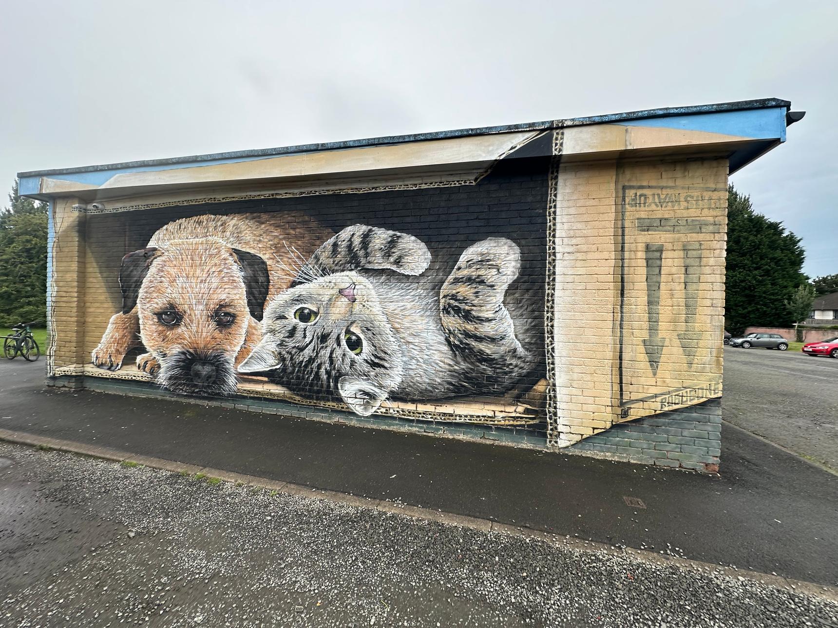 Rogueoner—Cat & Dog In Box