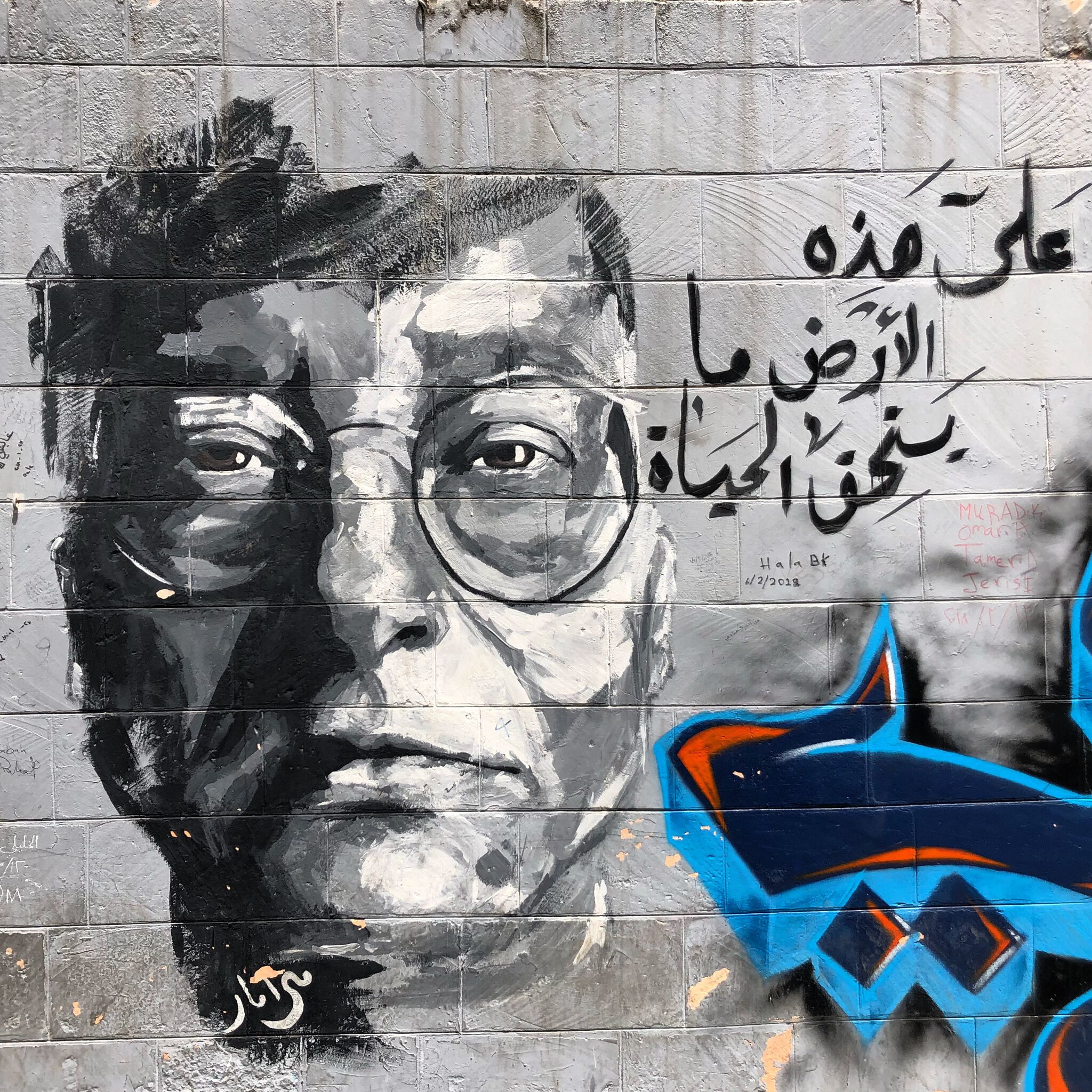 Aboodgraffiti, Miramar Al-Nayyar&mdash;"On this land, there's what's worth living"