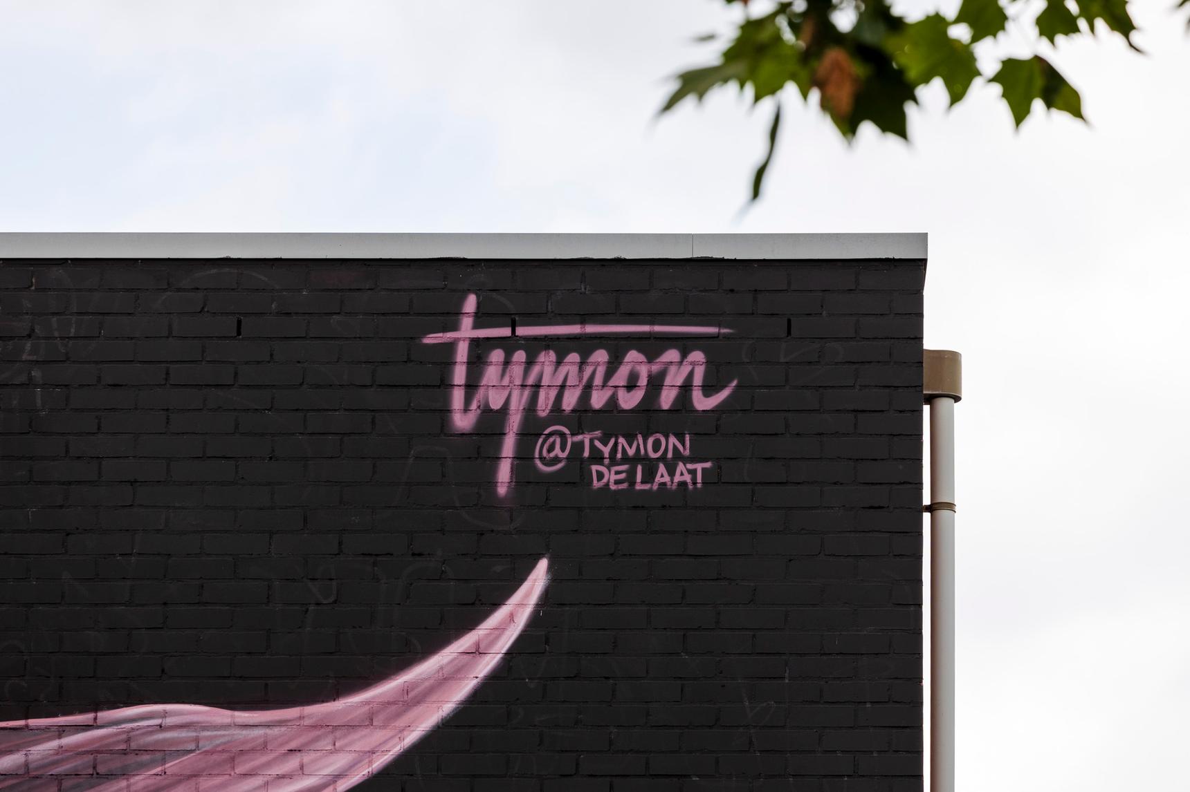 Tymon de Laat—Along the crossroads