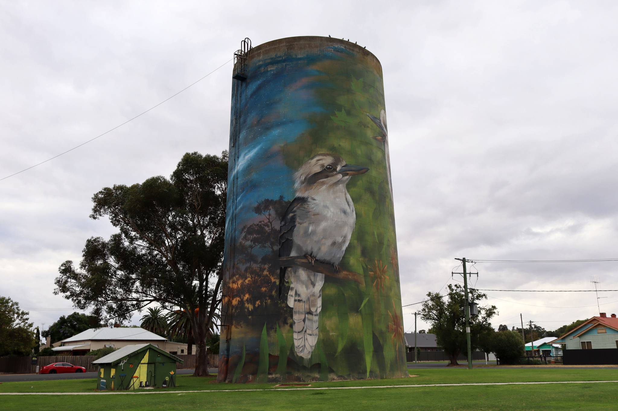 Cam Scale&mdash;Deniliquin Water Tower Mural