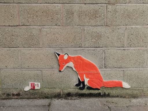 Fox and Soup Can