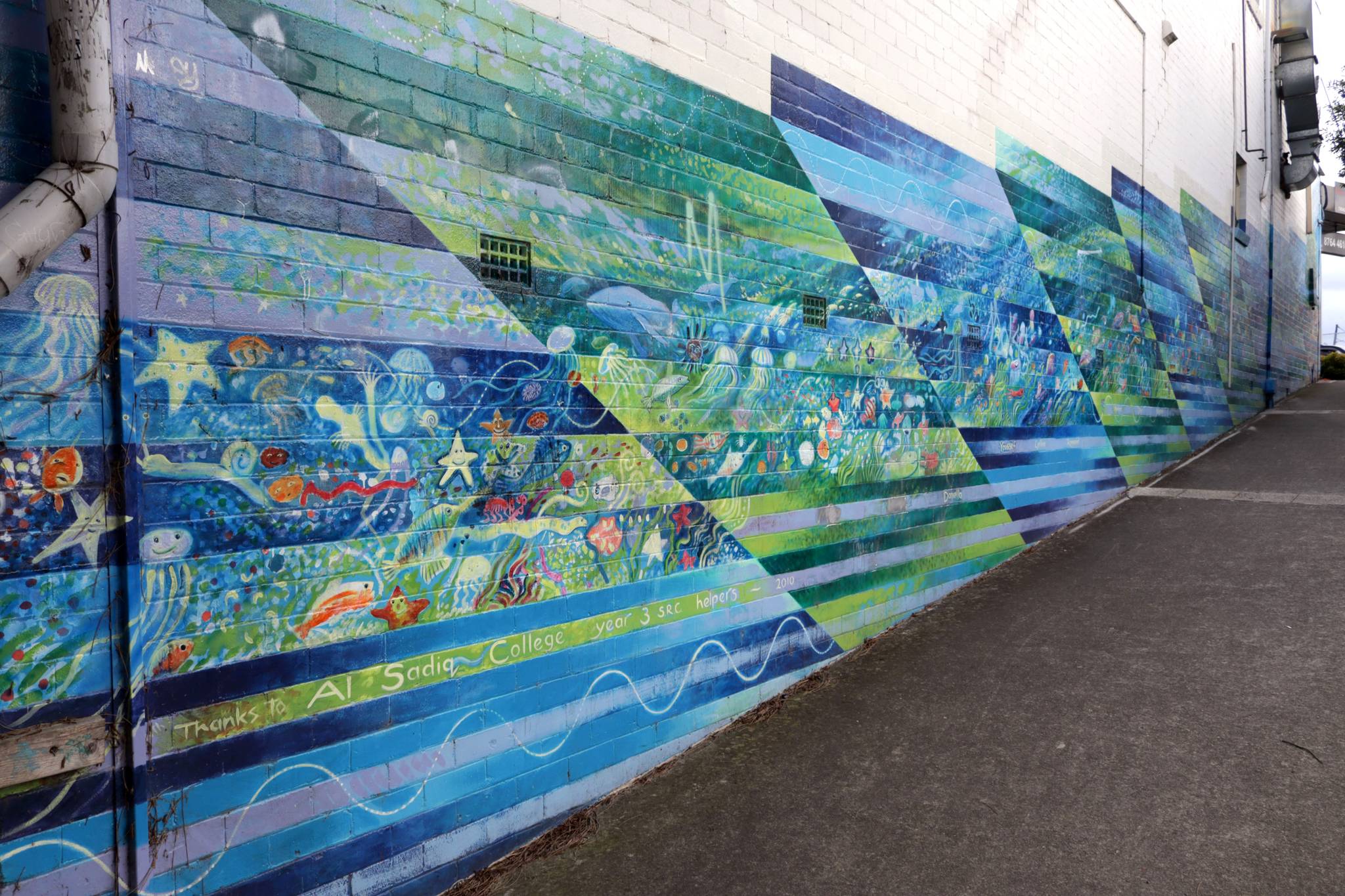 Robin Martin&mdash;Yagoona Station Mural