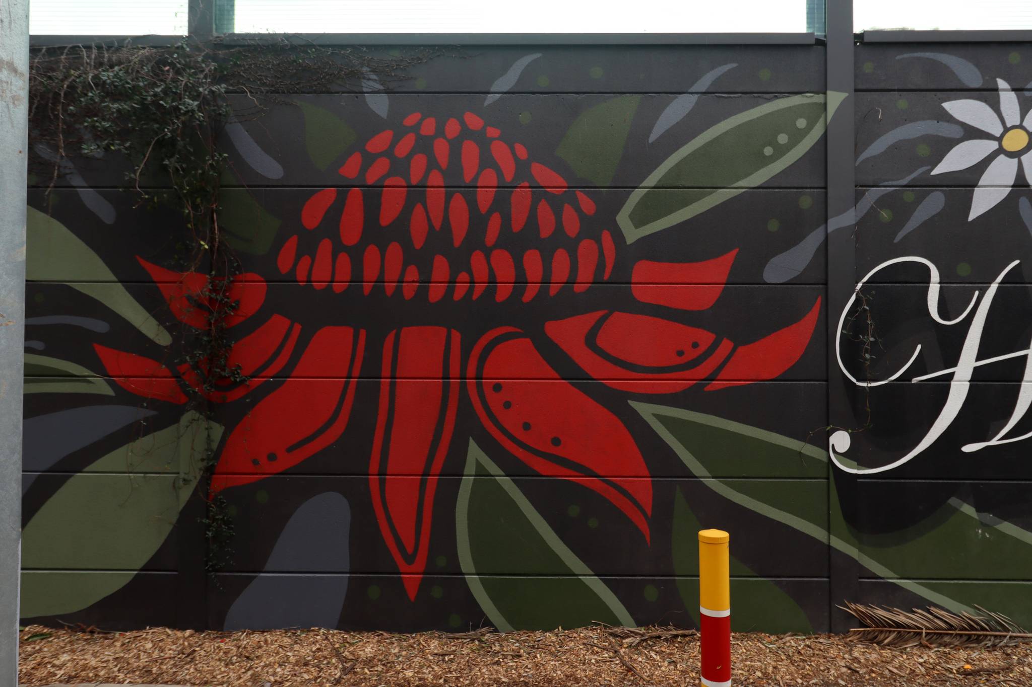 The Art of Wall, Stacey Keating&mdash;Haberfield Gardens