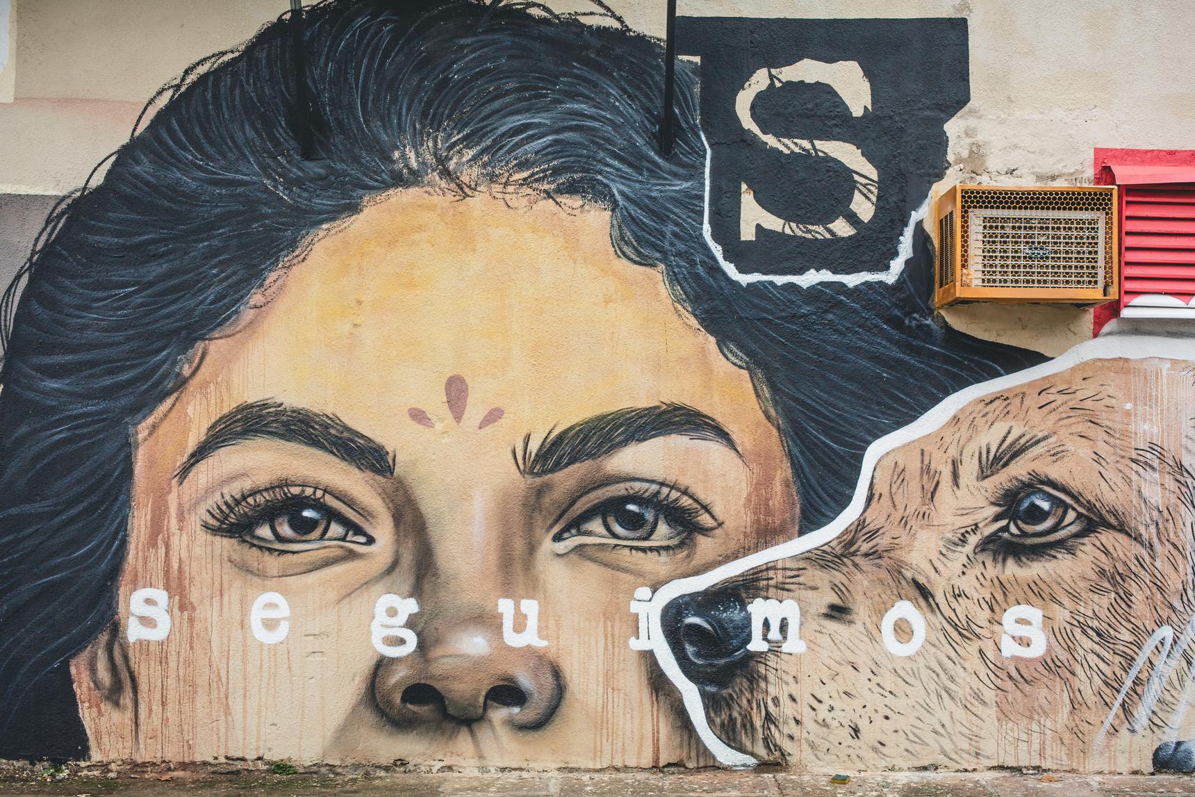 Bruna Rison—Seguimos