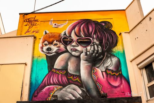 Pinky Lady and her red panda
